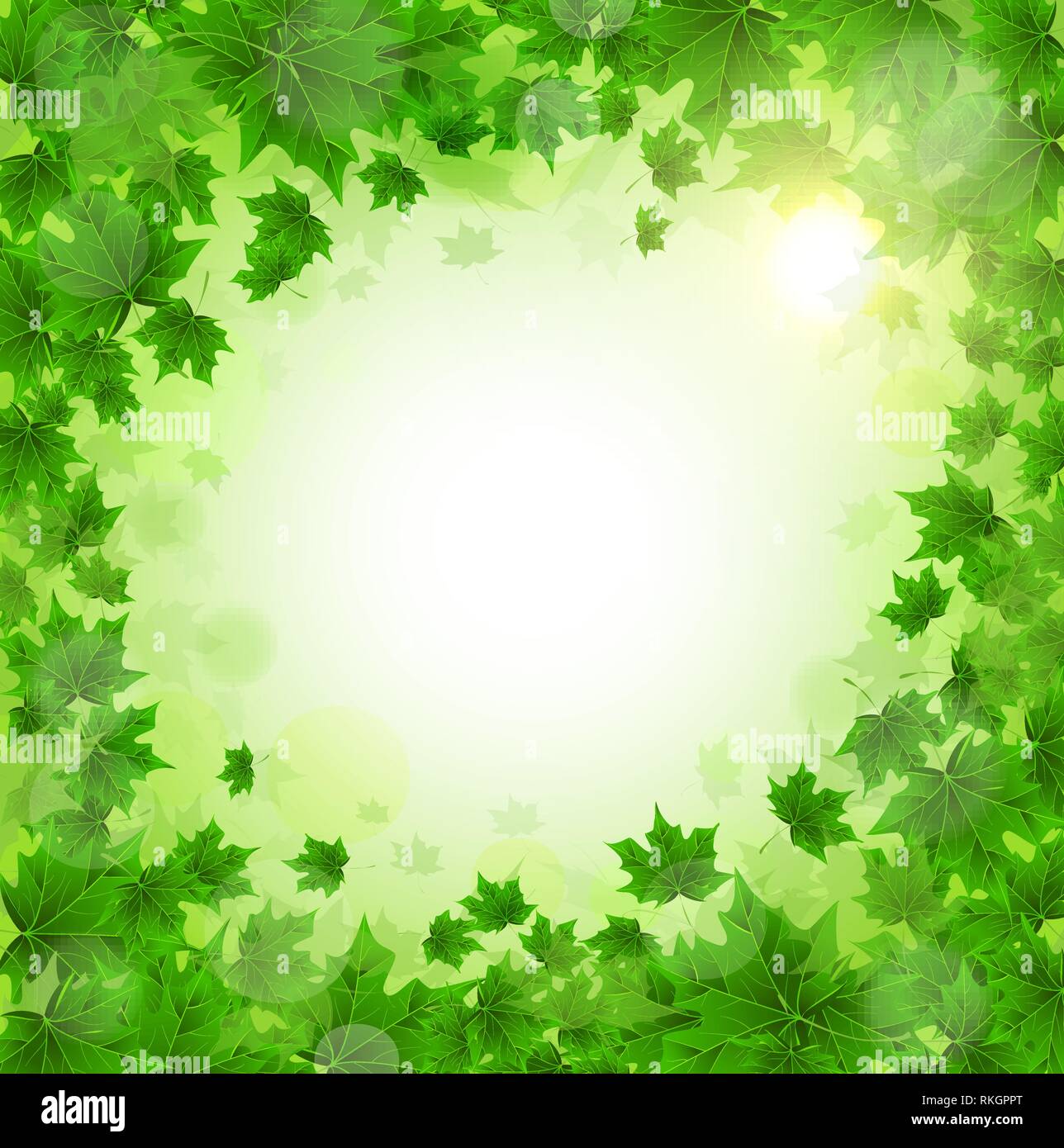 Cadre de feuilles d'Érable vert frais. Printemps ensoleillé ou journée d'été. Réveil de la nature. Couvrir ou d'arrière-plan pour un article. Illustration de Vecteur