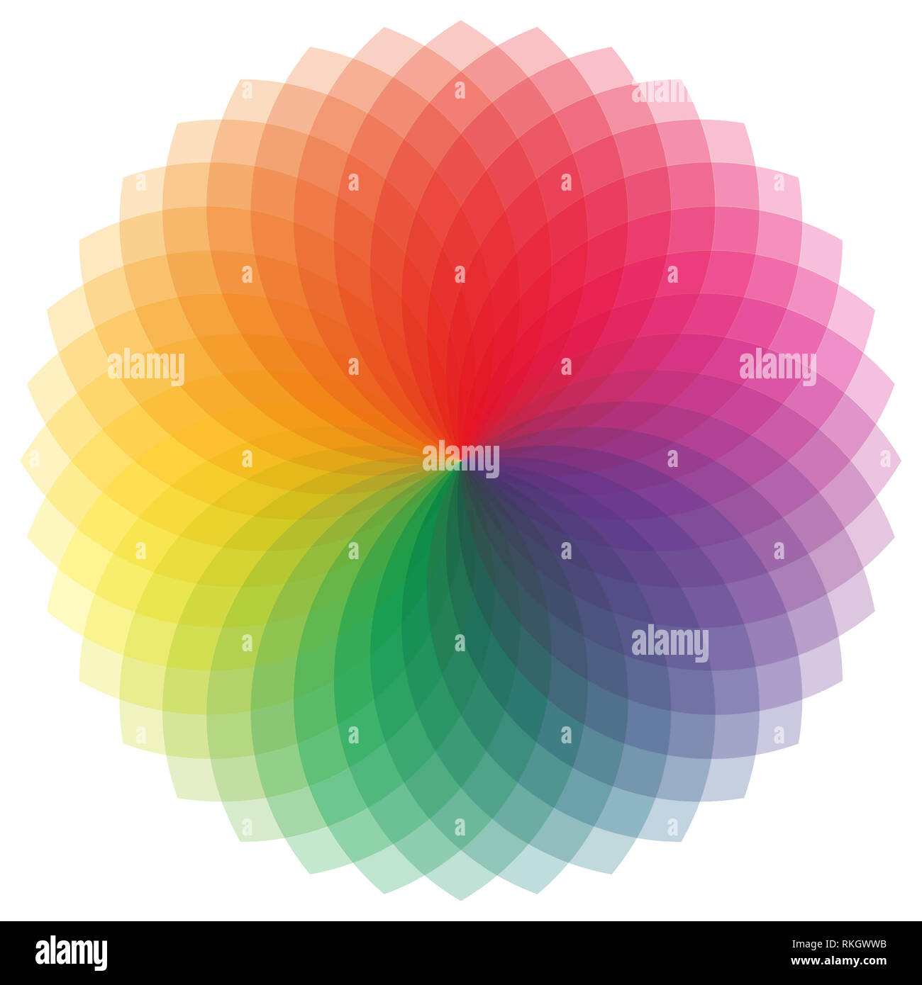 La roue, à de nombreuses nuances sont dispersés comme une fleur Banque D'Images