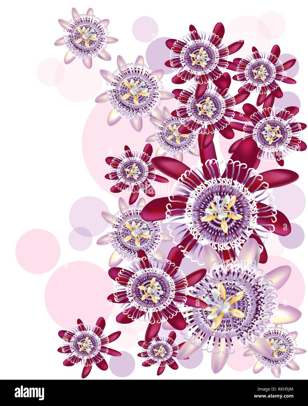 Plante grimpante passiflore avec différents tons de violet Illustration de Vecteur