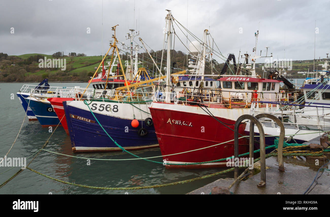 Les chalutiers de pêche amarrés le long d'un quai. Union Hall, West Cork, Irlande Banque D'Images