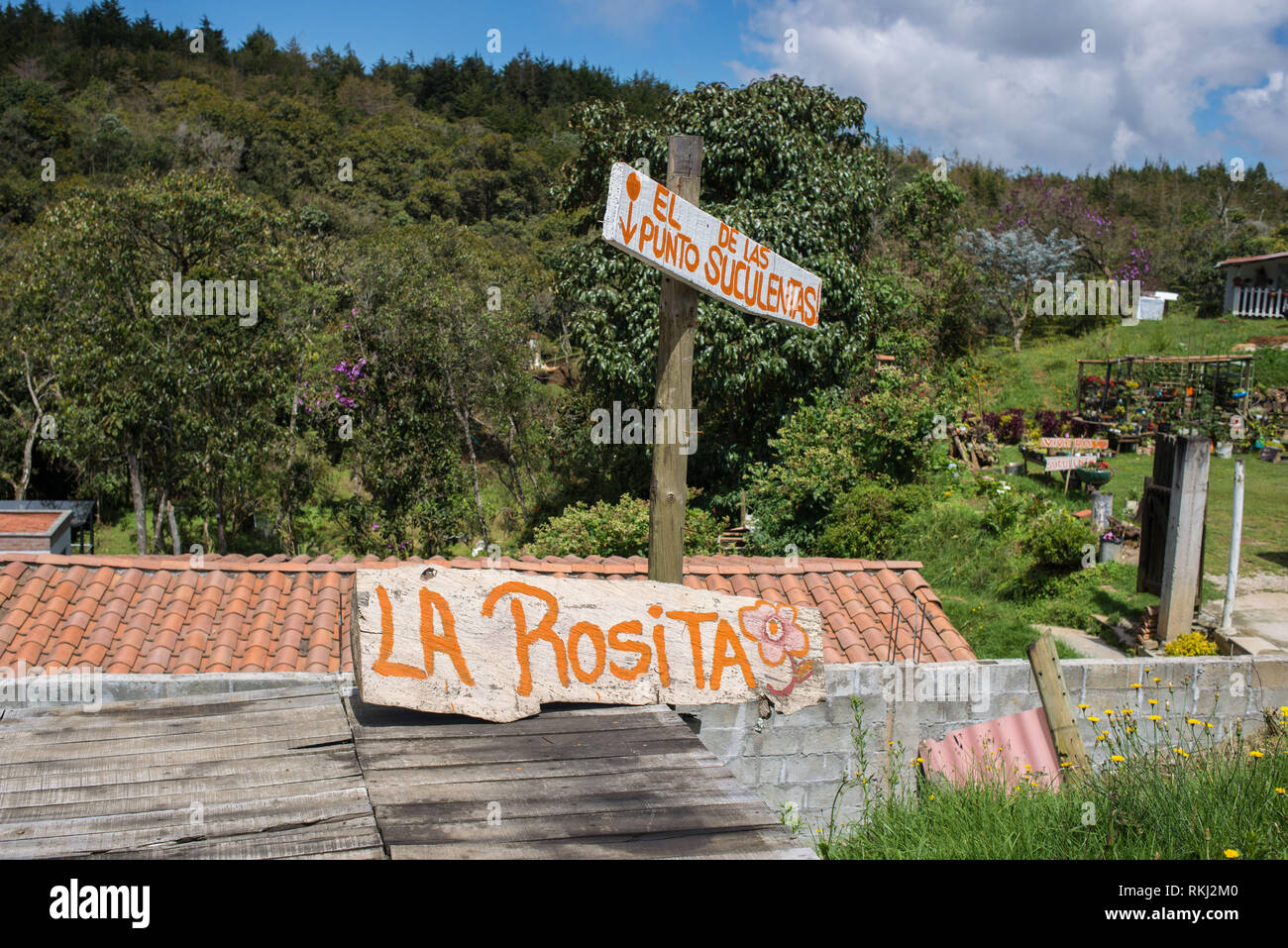 Santa Elena, Medellin. Antioquia, Colombie : les plantes. Banque D'Images