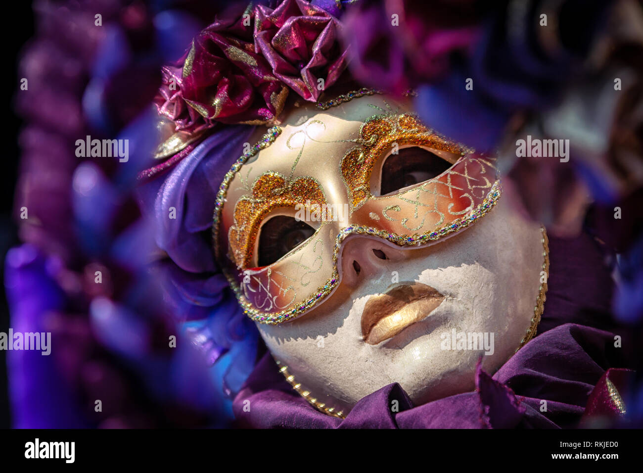 Woman in costume carnaval mardi Banque de photographies et d'images à haute  résolution - Alamy