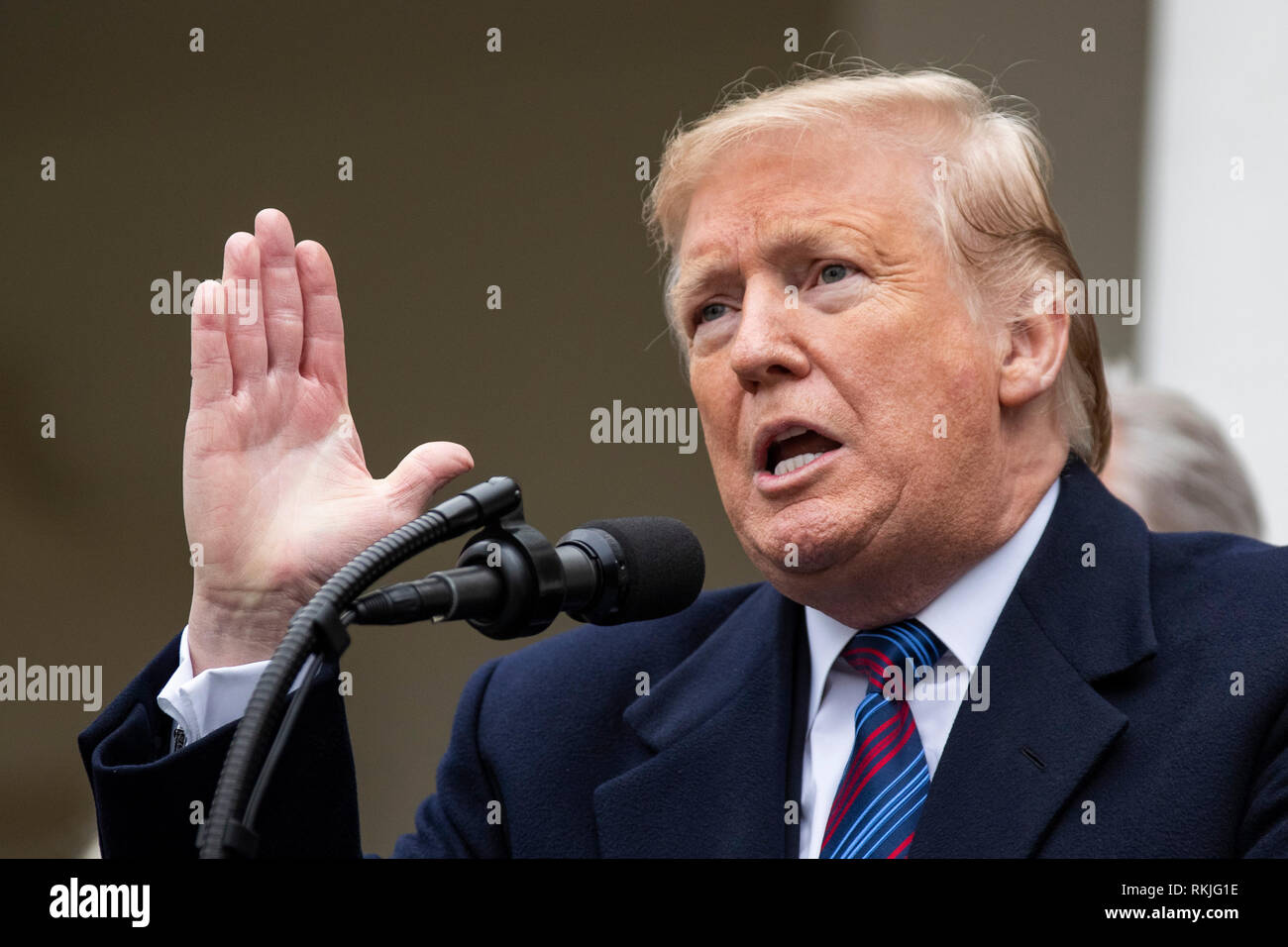 Le président américain, Donald Trump s'adresse aux journalistes dans la roseraie de la Maison Blanche le 4 janvier 2019. Banque D'Images