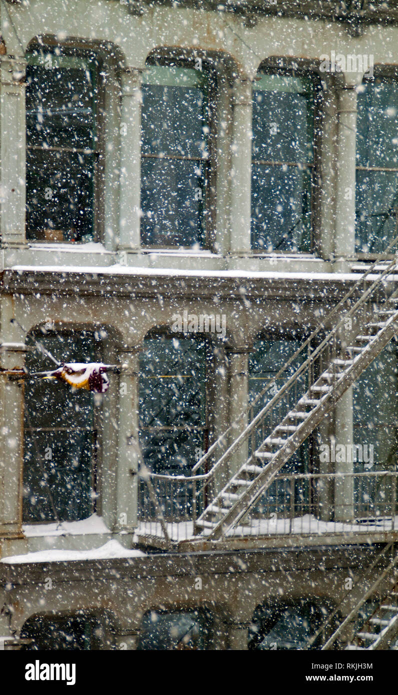 Jour de neige, New York City Banque D'Images