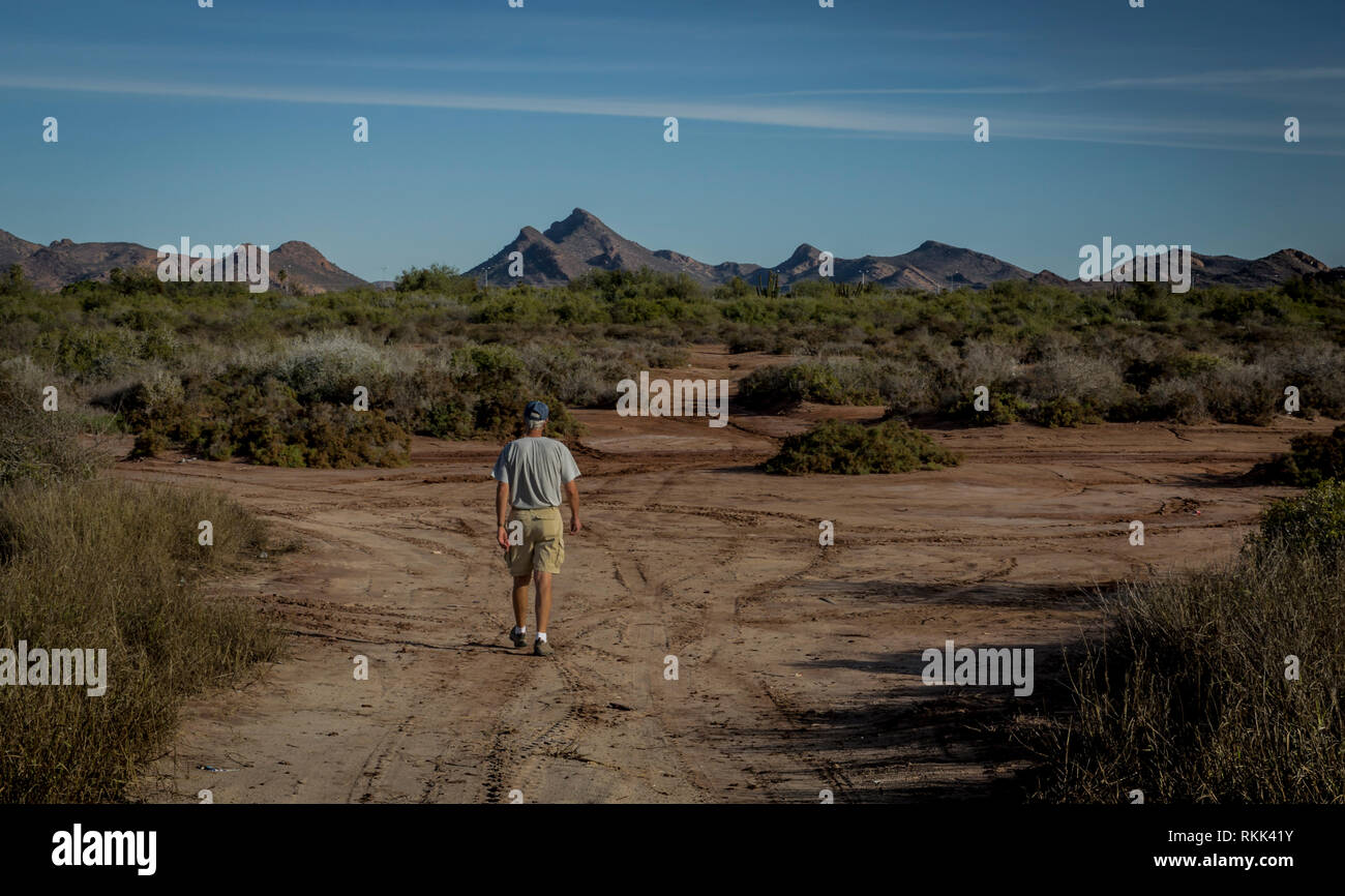 L'homme marche sur un chemin dans le désert de Sonora près du Mont Tetakawi, côte nord-ouest du Mexique. Banque D'Images