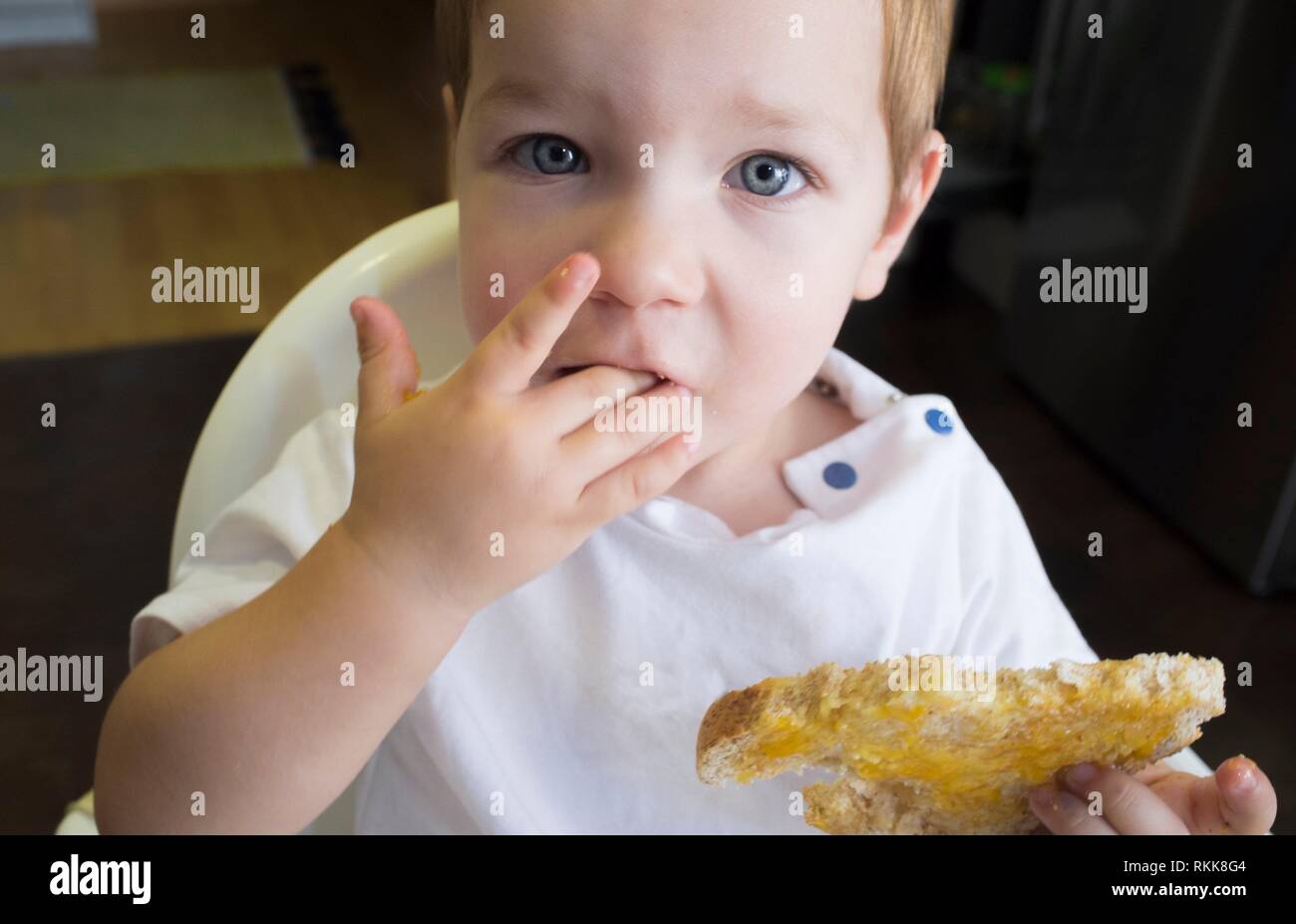 Little baby boy eating toast de confiture de pêches. Libre. Banque D'Images
