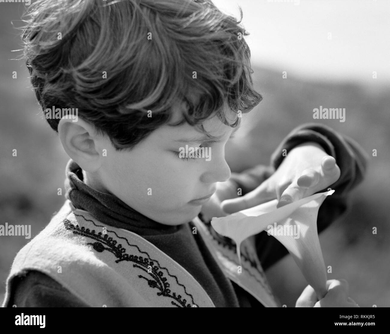 Petit garçon à la recherche et en touchant une calla lily. Banque D'Images