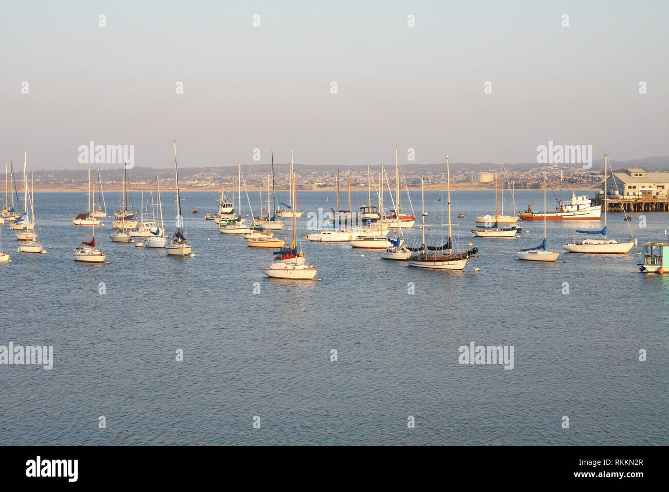Voir des bateaux de plaisance à Monterey, Californie, USA, de Sœur City Park. Banque D'Images