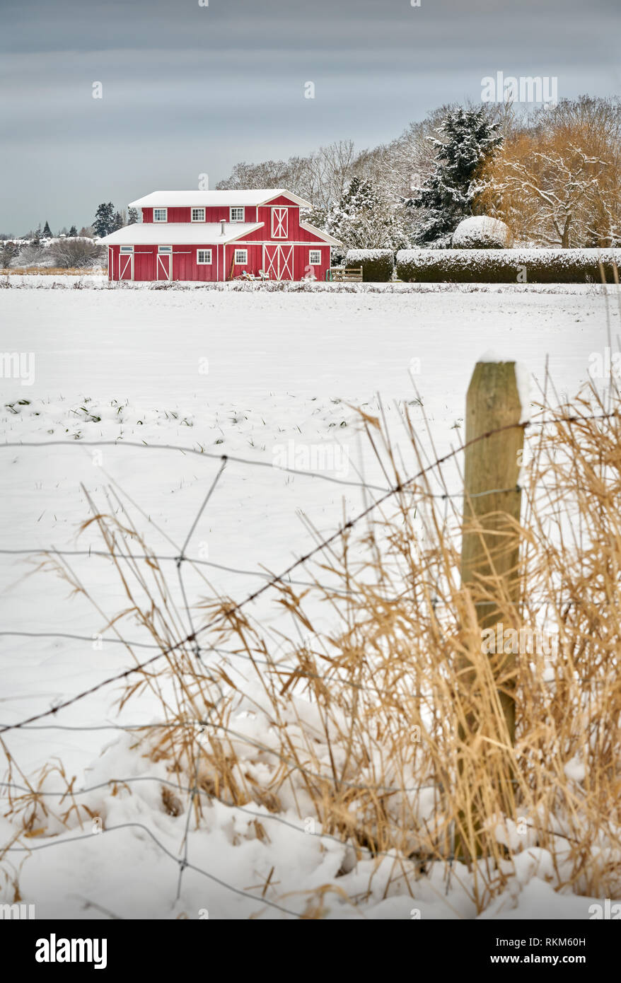 Grange rouge et Neige de l'hiver. Hiver neige fraîche et une grange rouge. Banque D'Images