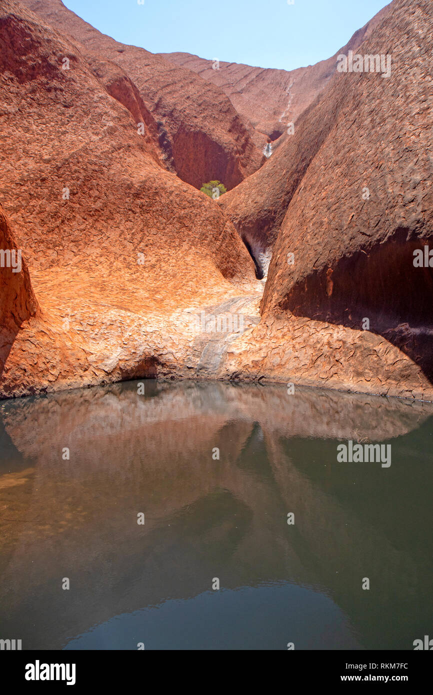 À Uluru Mutitjulu Waterhole Banque D'Images