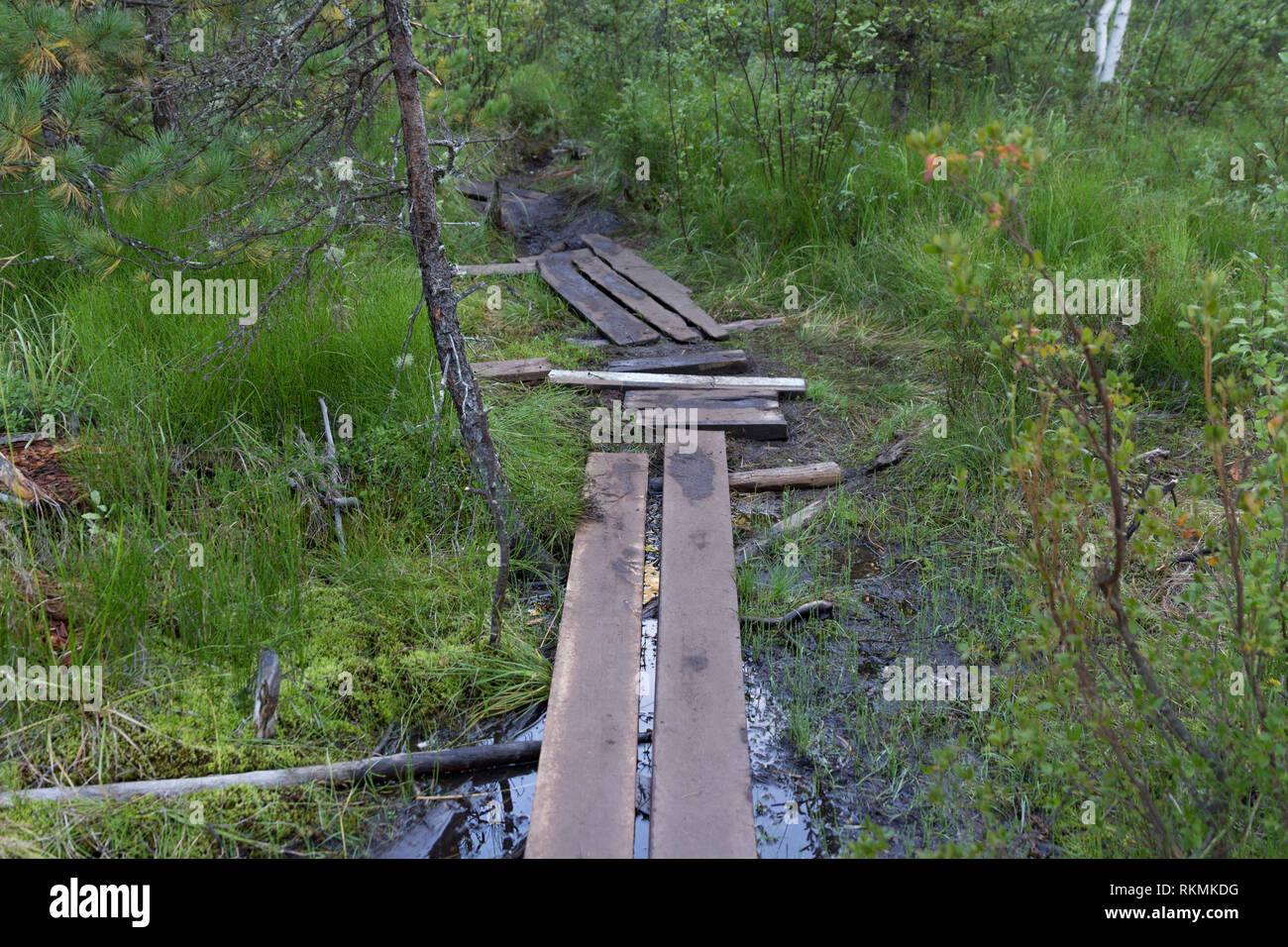 Ancien petit pont à travers une rivière dans une forêt Banque D'Images