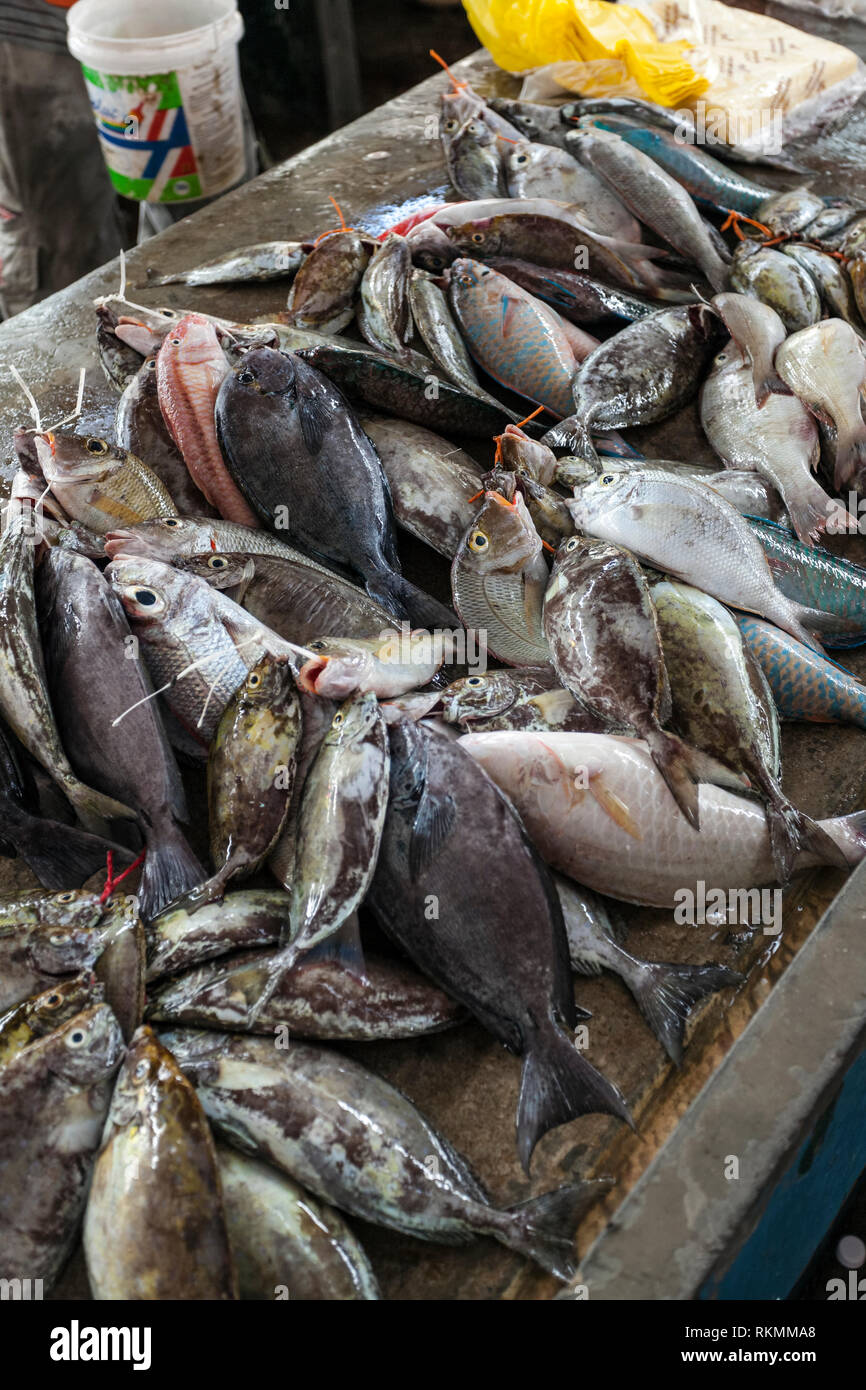 Du poisson au marché Sir Selwyn Clarke sur Market Street, Victoria, Mahe, Seychelles, océan Indien, Afrique Banque D'Images