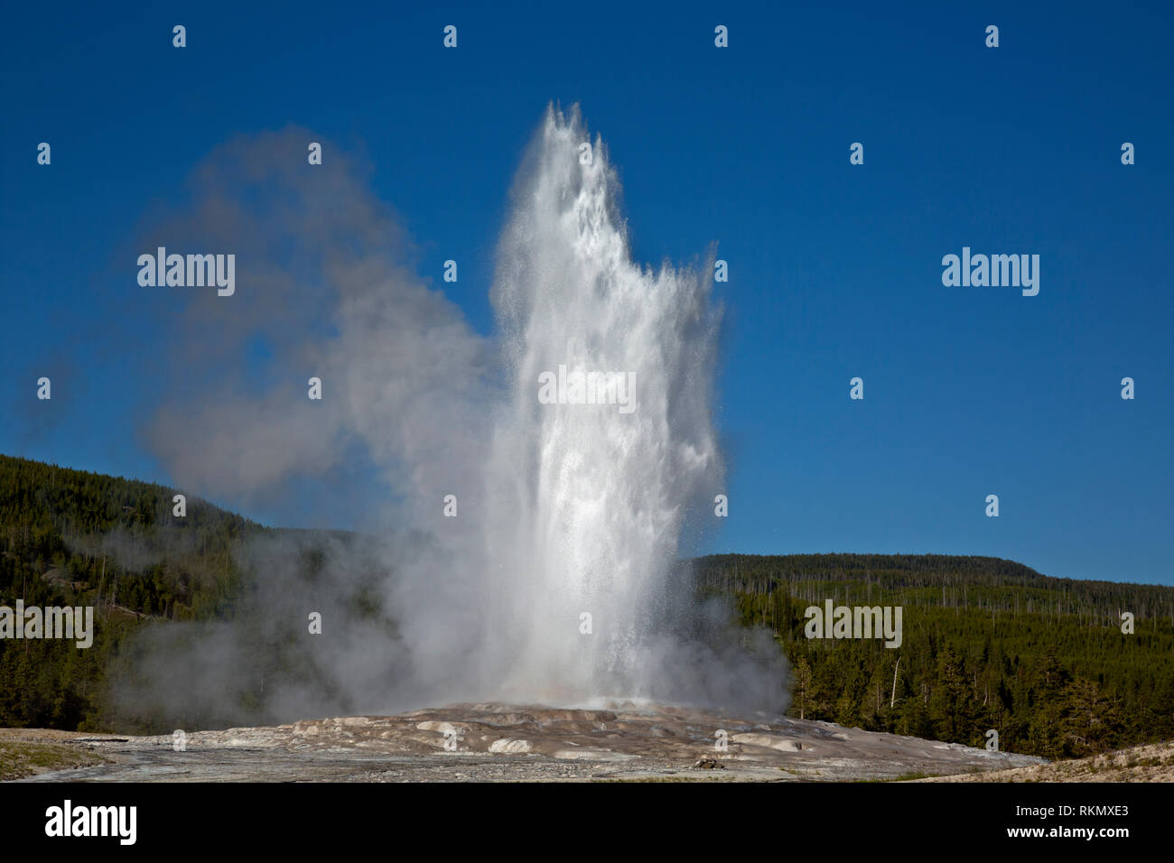 WY03411-00...WYOMING - une éruption du geyser Old Faithful Geyser Basin dans le Parc National de Yellowstone. Banque D'Images