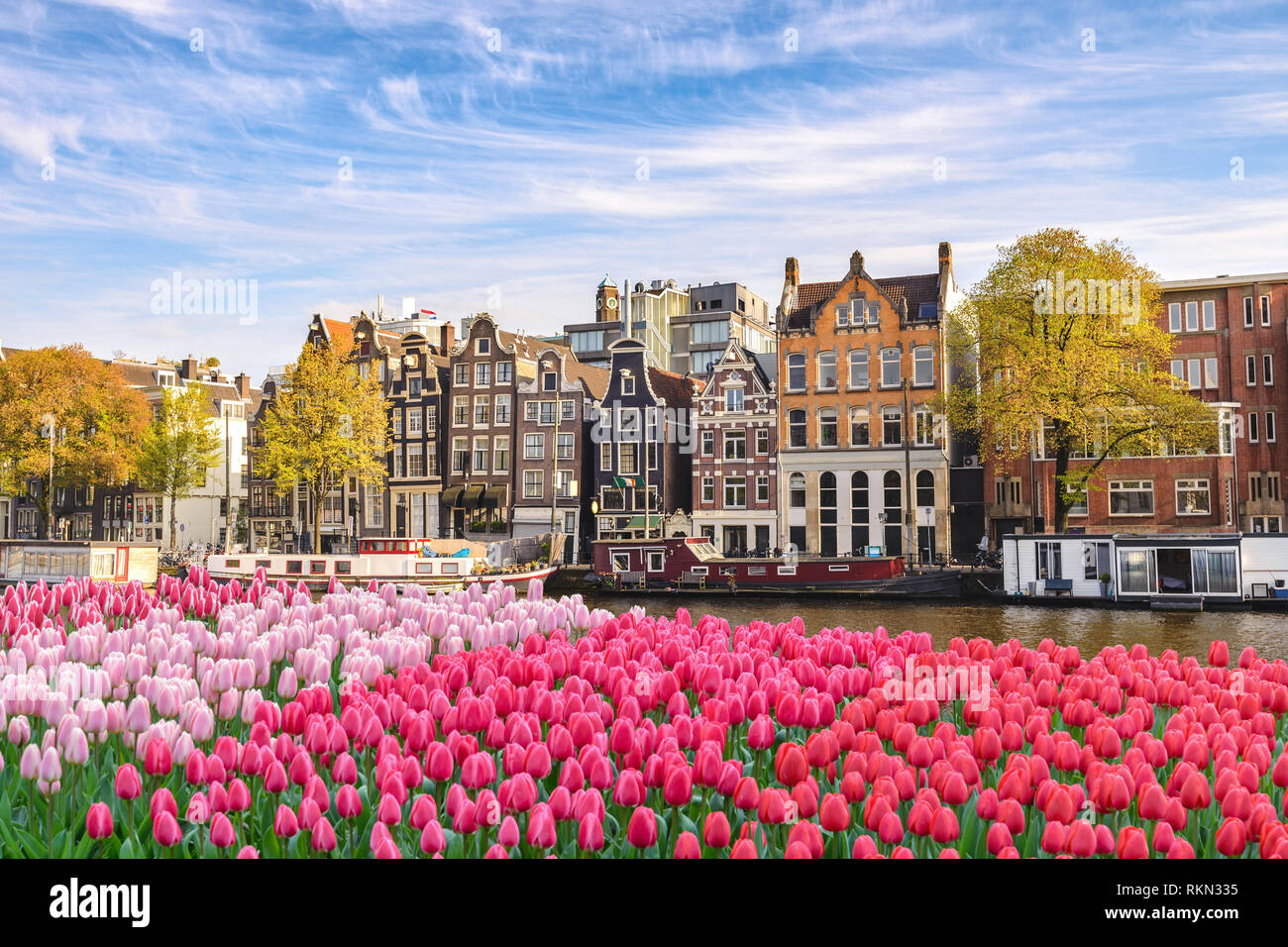 Pays-bas Amsterdam, ville Dutch House à canal mer avec printemps tulipe fleur Banque D'Images