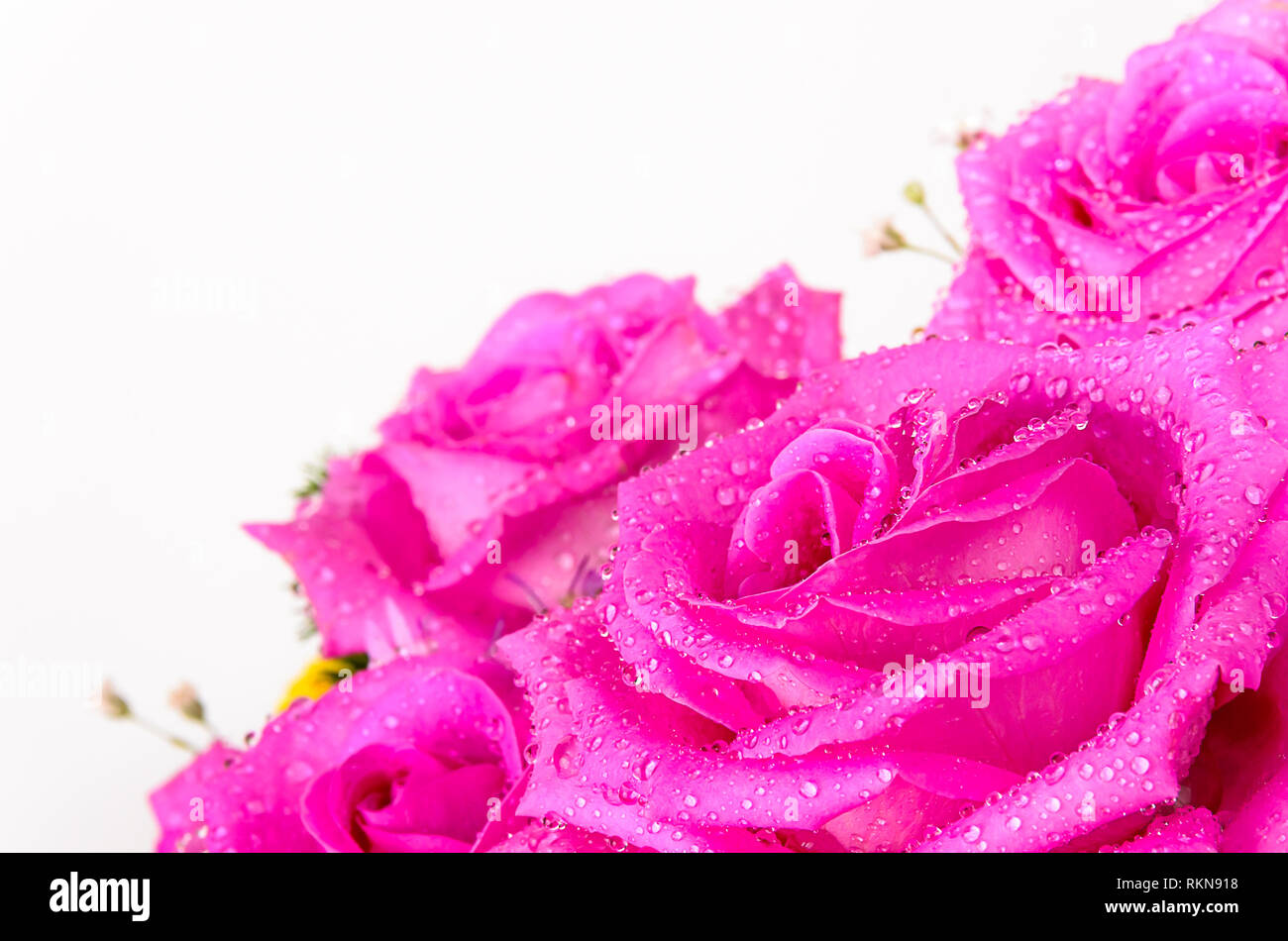 Creative magnifique bouquet de fleurs. Arrière-plan de la nature. Banque D'Images