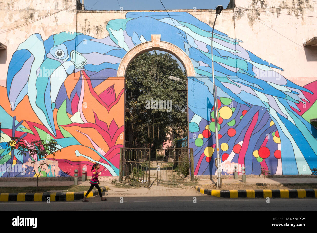 Une fille passe devant une peinture murale de la rue d'un Calao Pie Oriental par Renato Reno de Lodhi Colony, New Delhi, Inde Banque D'Images