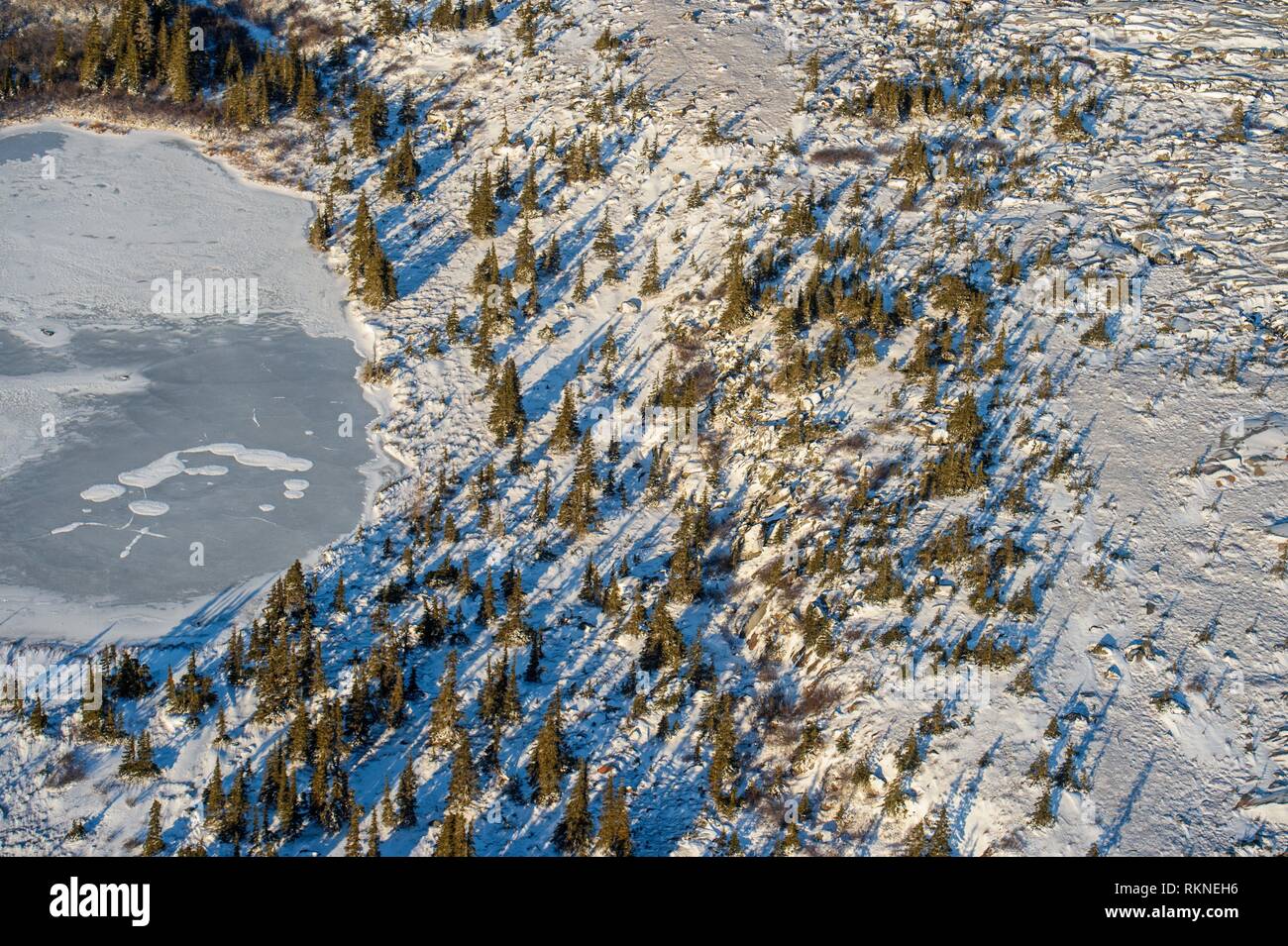 La baie d'Hudson, lowdslan au moment du gel de l'air boréal arbres et