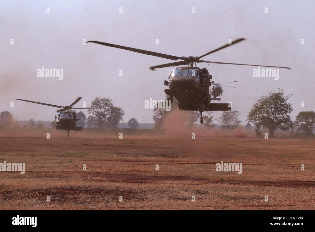 Sikorsky UH-60 Black Hawk se préparer à atterrir et retour aux États-Unis et dans d'Armée royale thaïlandaise soldats lors d'une mission de formation de l'assaut aérien le 5 février 2019, à Sa Kaeo Province, en Thaïlande, dans le cadre d'Hanuman Guardian. Hanuman Guardian fournit un exercice pour les États-Unis et la Thaïlande les armées à accélérer l'interopérabilité et d'accroître la capacité des partenaires par la planification et l'exécution de la force opérationnelle combinée complexe des opérations. (U.S. Photo de l'armée par le sergent. Cody Jones) Banque D'Images