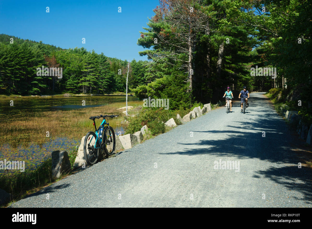 Couple riding leurs bicyclettes sur la boucle du lac Eagle road transport, l'Acadia National Park, Maine, USA. Banque D'Images