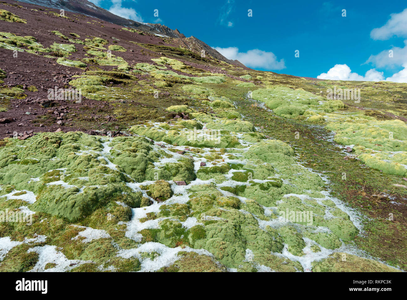 Le Pérou avec des motifs de haute altitude frozen green moss Banque D'Images