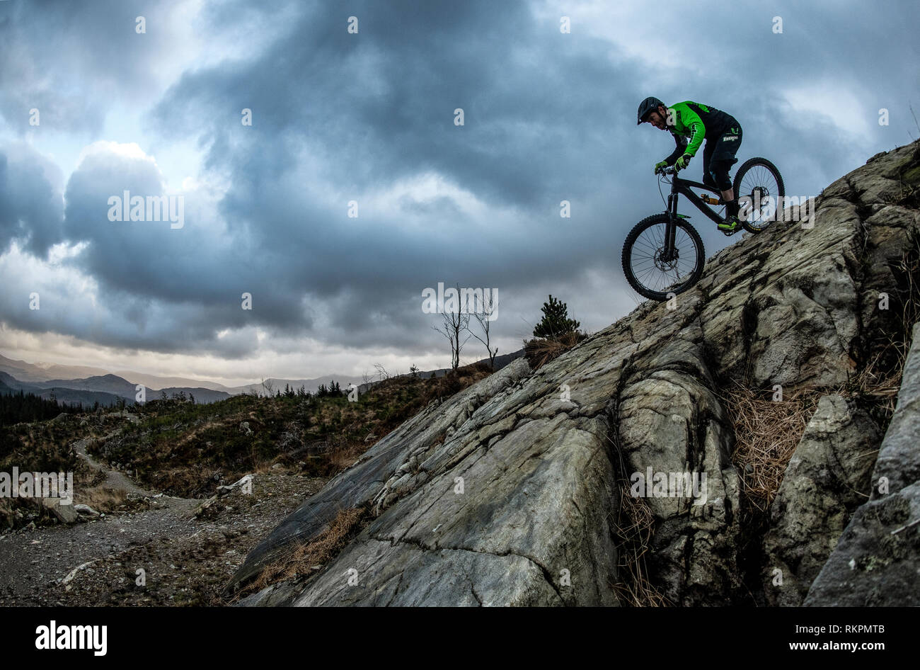 Un homme sur un vélo de montagne vers le bas une fonction sauts rock à Coed-Y-Brenin trail centre au Pays de Galles. Banque D'Images