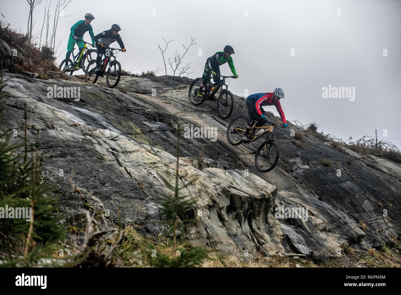 Quatre hommes ride vtt sur une dalle de roche sur une piste à Coed-Y-Brenin dans le Nord du Pays de Galles. Banque D'Images