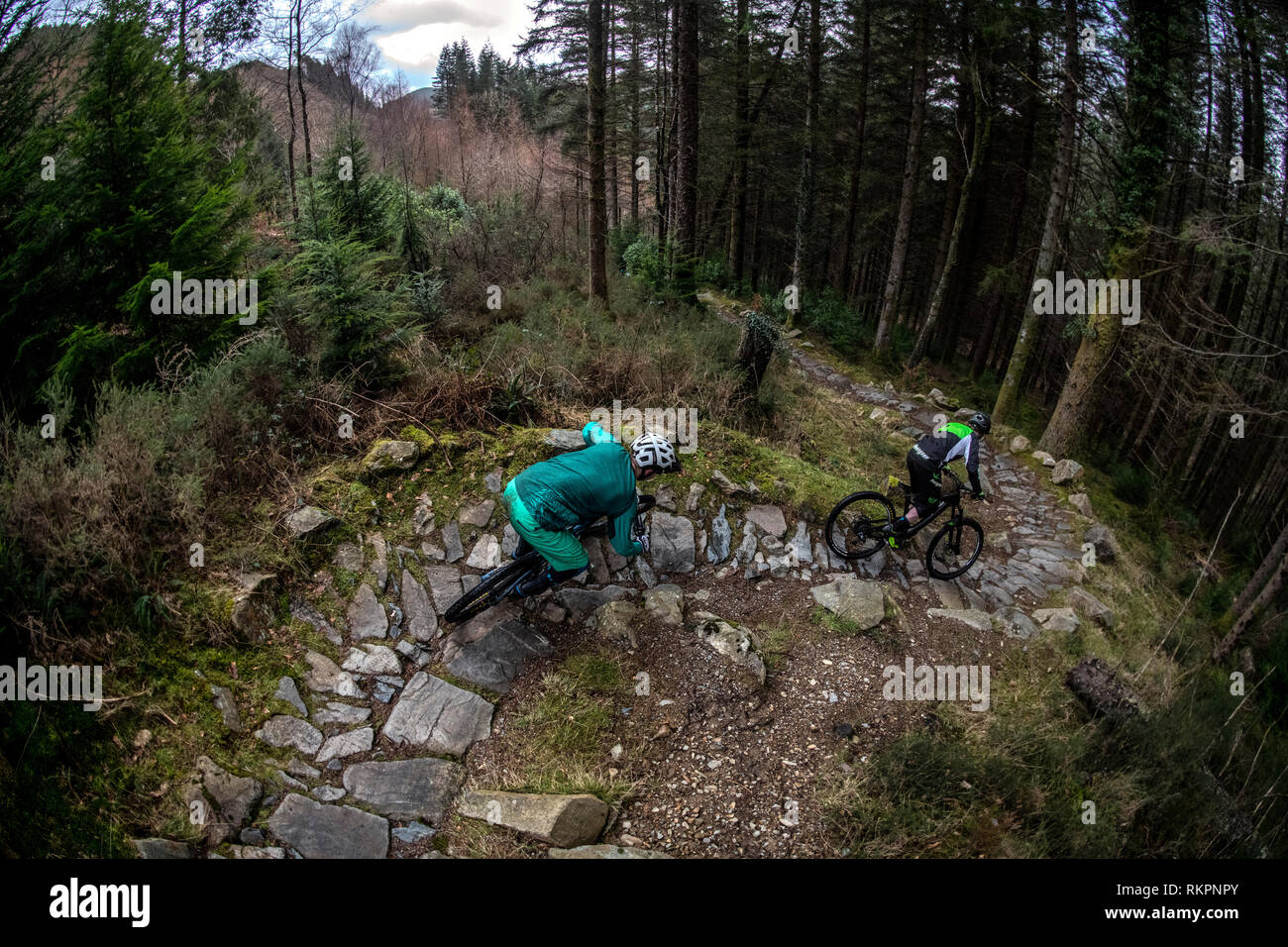 Deux hommes en vtt ride un sentier rocheux à Coed-Y-Brenin trail centre dans le Nord du Pays de Galles Banque D'Images