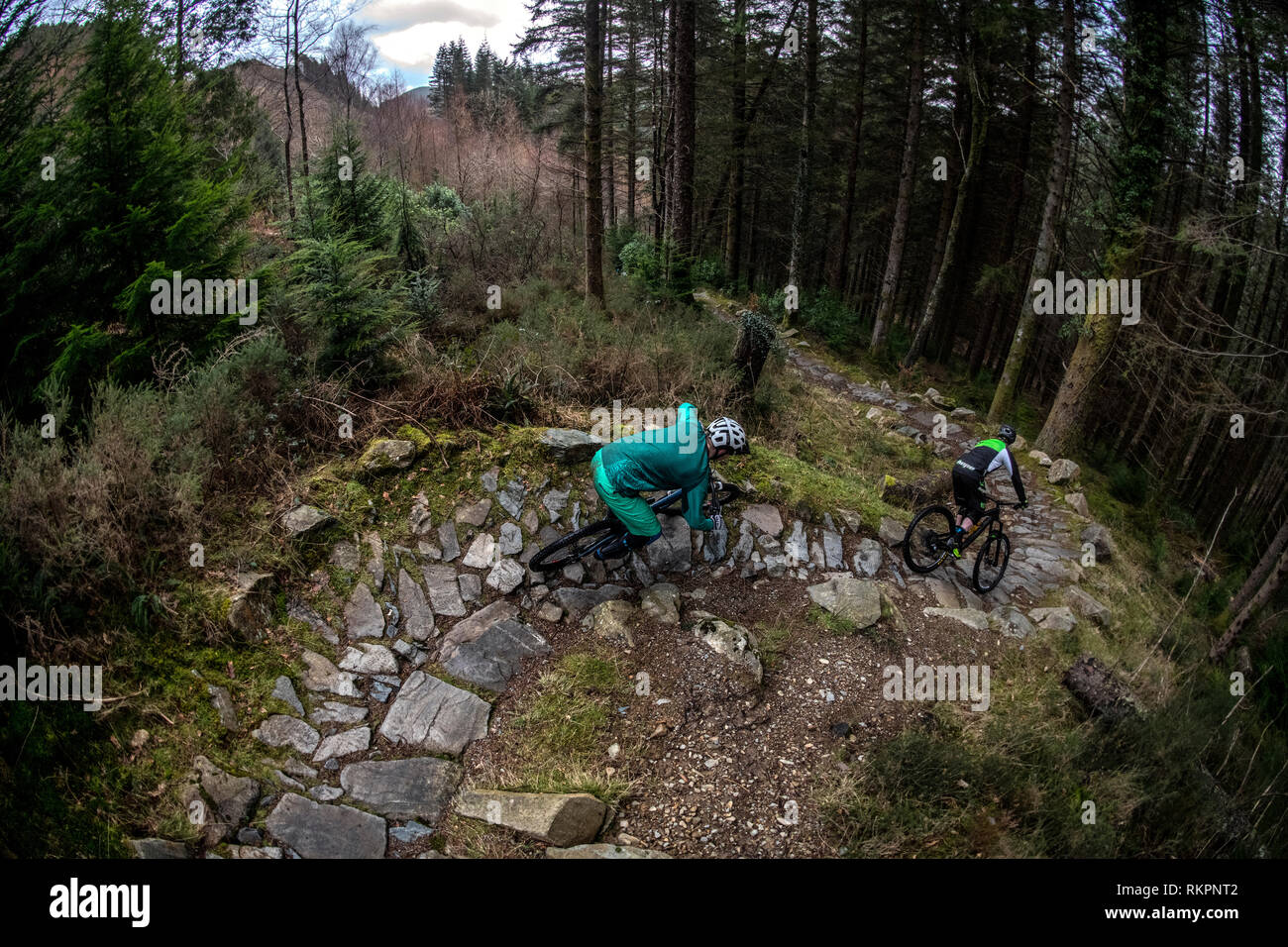 Deux hommes en vtt ride un sentier rocheux à Coed-Y-Brenin trail centre dans le Nord du Pays de Galles Banque D'Images