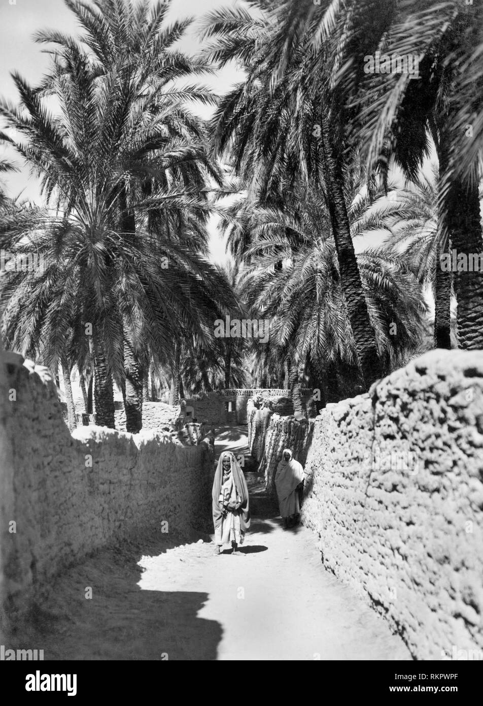 Nord tunisie Banque d'images noir et blanc - Alamy