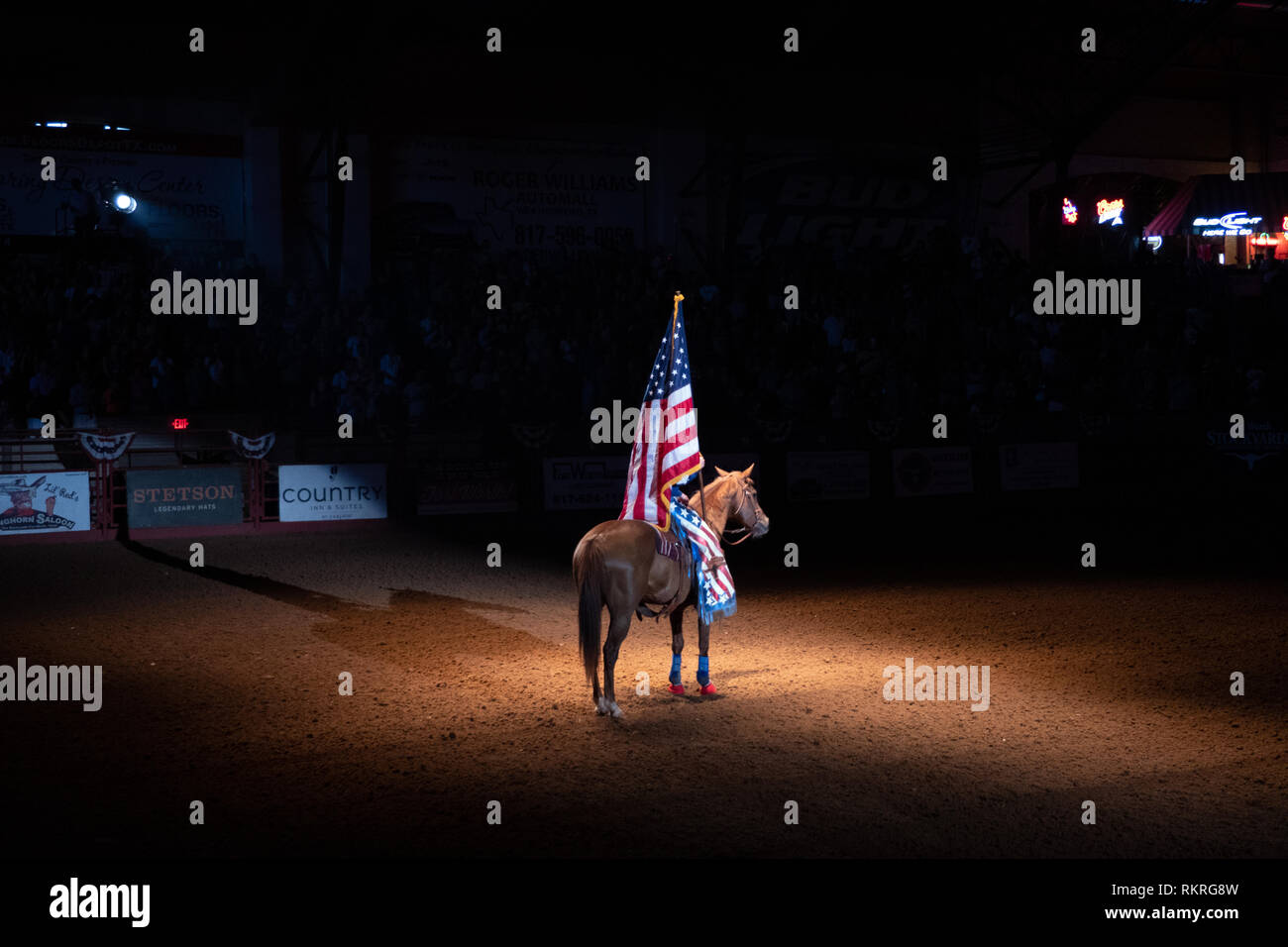 Young American Woman riding horse au rodéo et holding US flag pour l'hymne national en Cowtown Coliseum arena, dans les parcs à bestiaux de Fort Worth, Te Banque D'Images