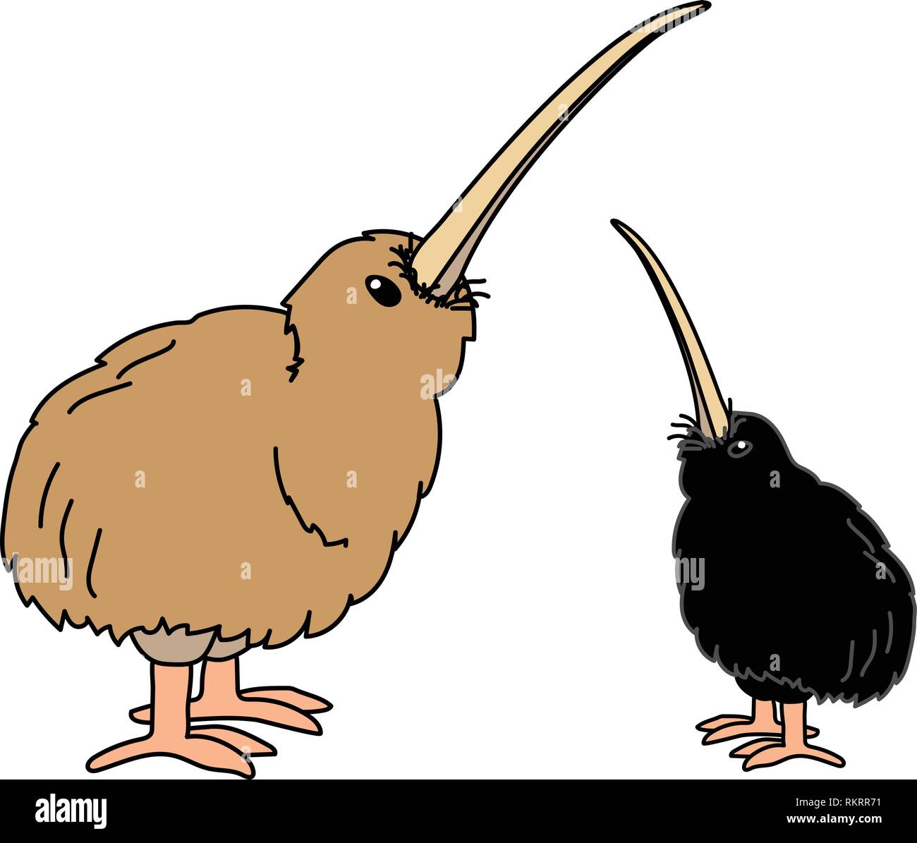 Vector cartoon animal kiwi oiseau sans ailes clipart Illustration de Vecteur