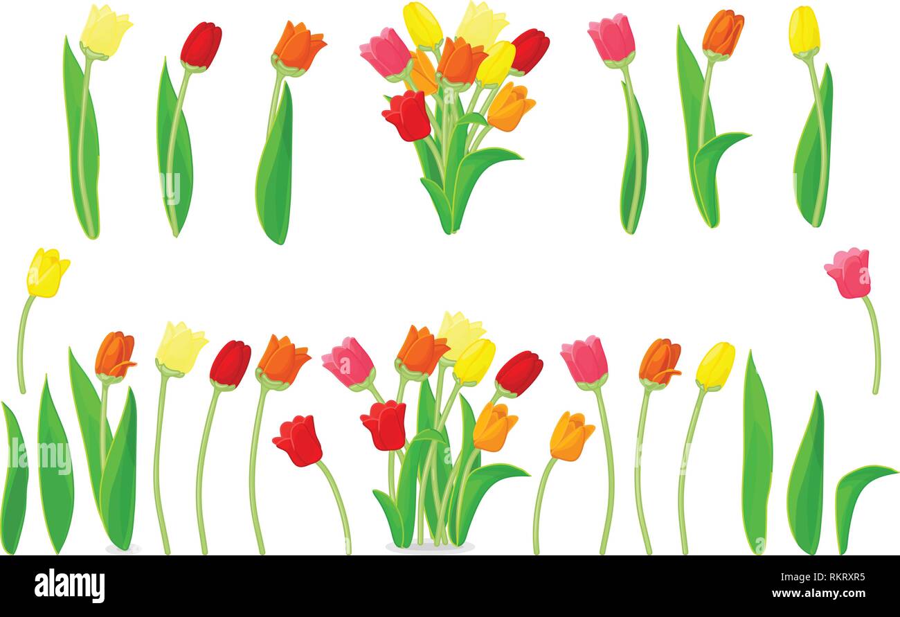 Fleurs tulipe vecteur icônes mignonnes ensemble big Illustration de Vecteur