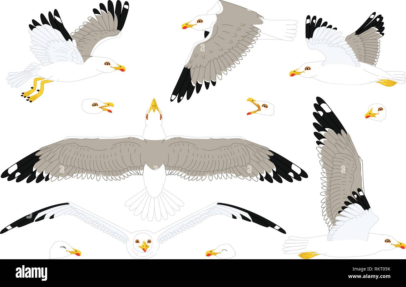 Cartoon vector sea gull mouette cliparts set Illustration de Vecteur