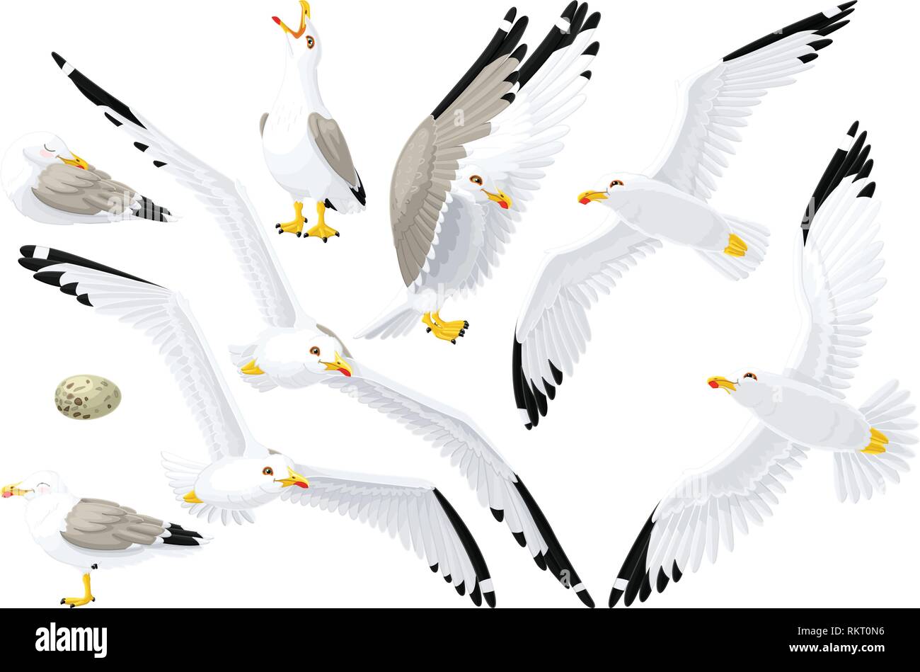 Cartoon vector sea gull mouette cliparts set Illustration de Vecteur
