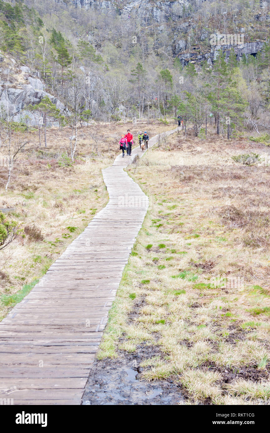 PREIKESTOLHYTTA , Norvège - 13 MAI 2017 : les touristes sur le sentier à Preikestolen le 13 mai 2017 dans Preikestolhytta. Preikestolen est un célèbre site touristique attrac Banque D'Images