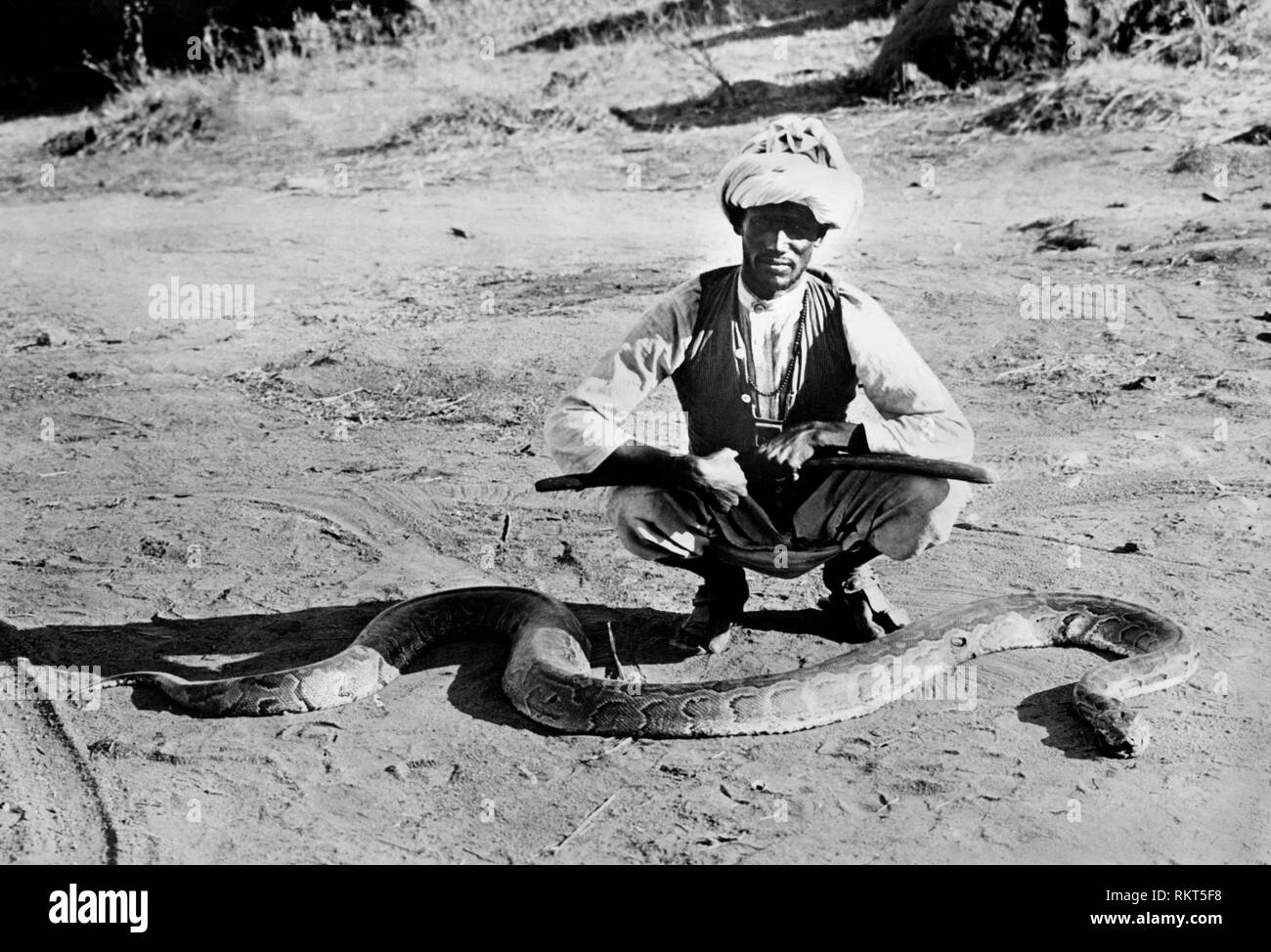 L'Afrique, l'Éthiopie, un python, 1920-30 Banque D'Images