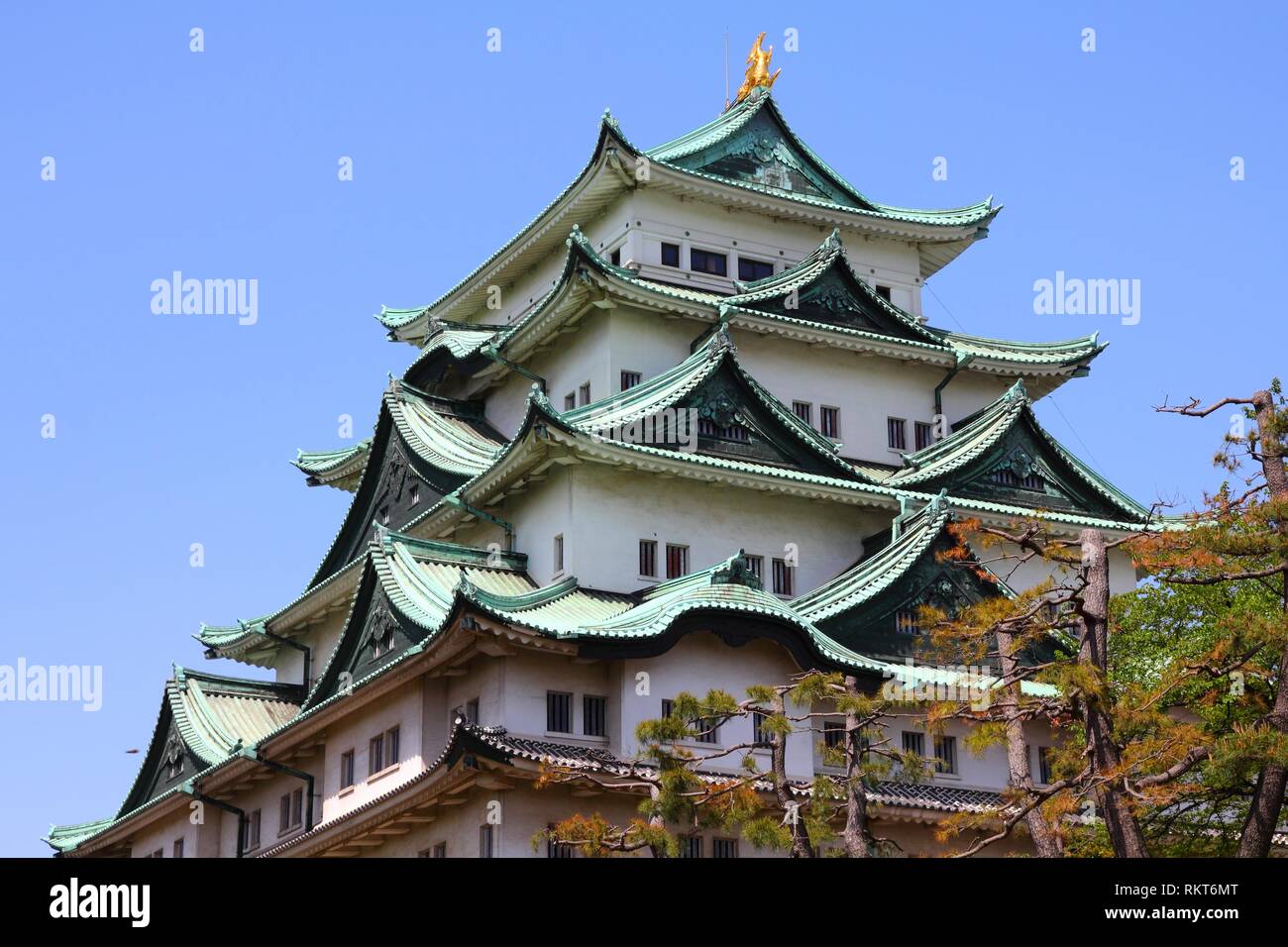 Nagoya, Japon - ville dans la région de Chubu dans la préfecture d'Aichi. Château Nagoya-jo. Banque D'Images