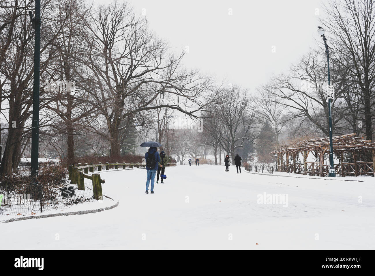 New York, New York, USA. 12 Février, 2019. Snow hits New York le mardi Crédit : William Volcov/ZUMA/Alamy Fil Live News Banque D'Images