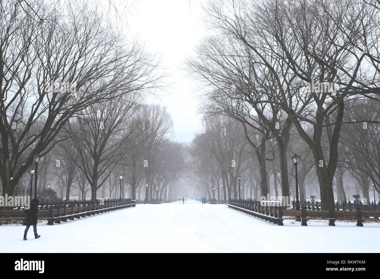 New York, New York, USA. 12 Février, 2019. Snow hits New York le mardi Crédit : William Volcov/ZUMA/Alamy Fil Live News Banque D'Images