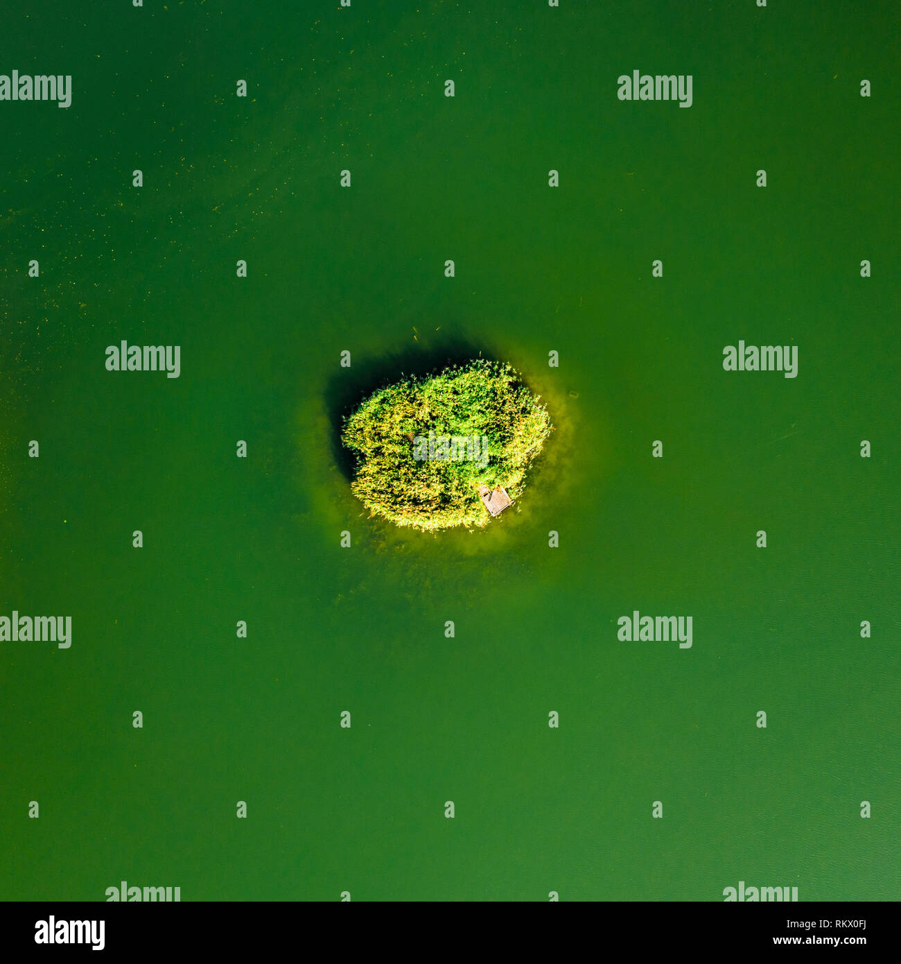 Petite Île Verte, en haut de l'antenne vue verticale Banque D'Images