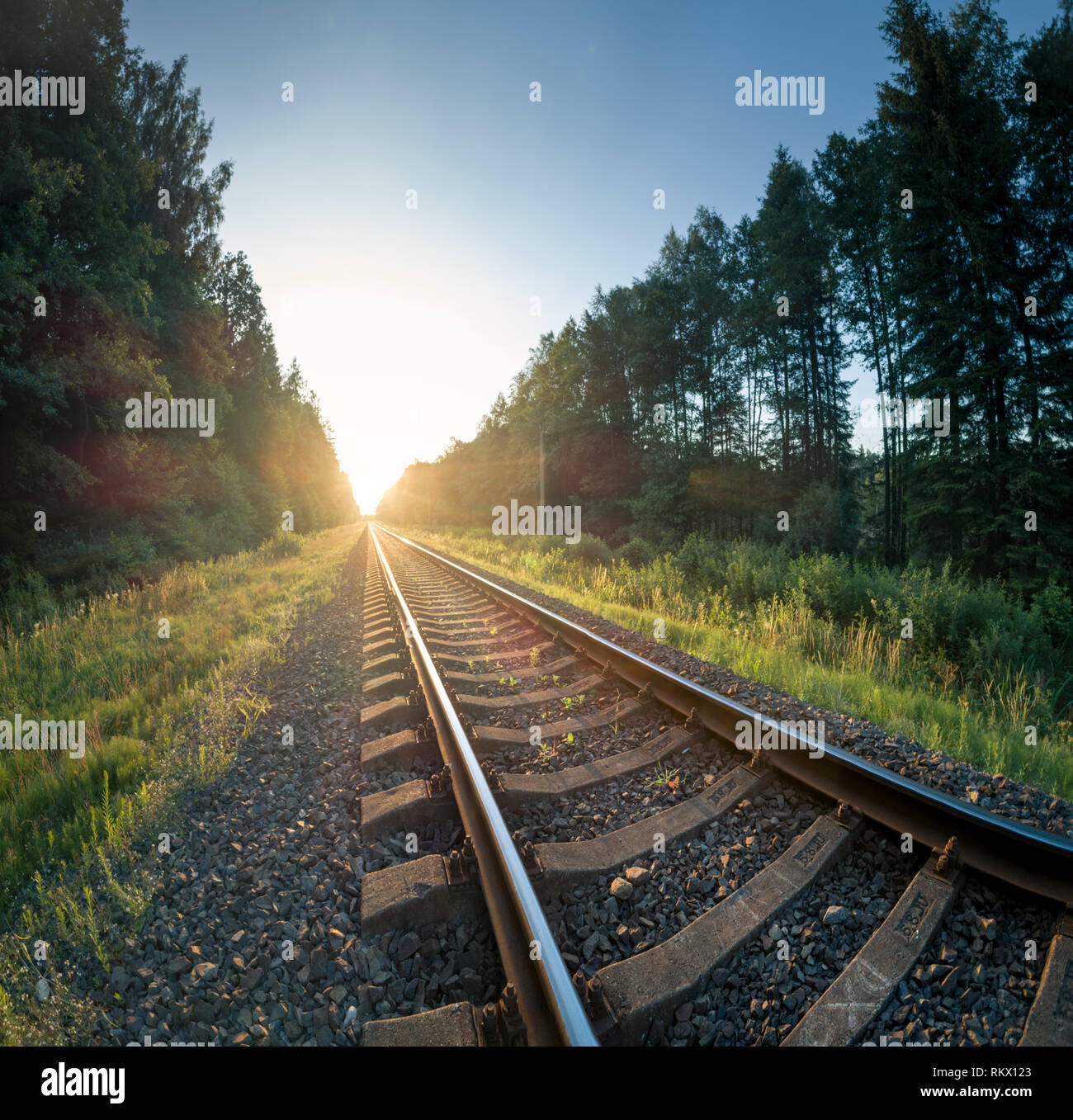 Les voies de chemin de fer menant au coucher du soleil Banque D'Images