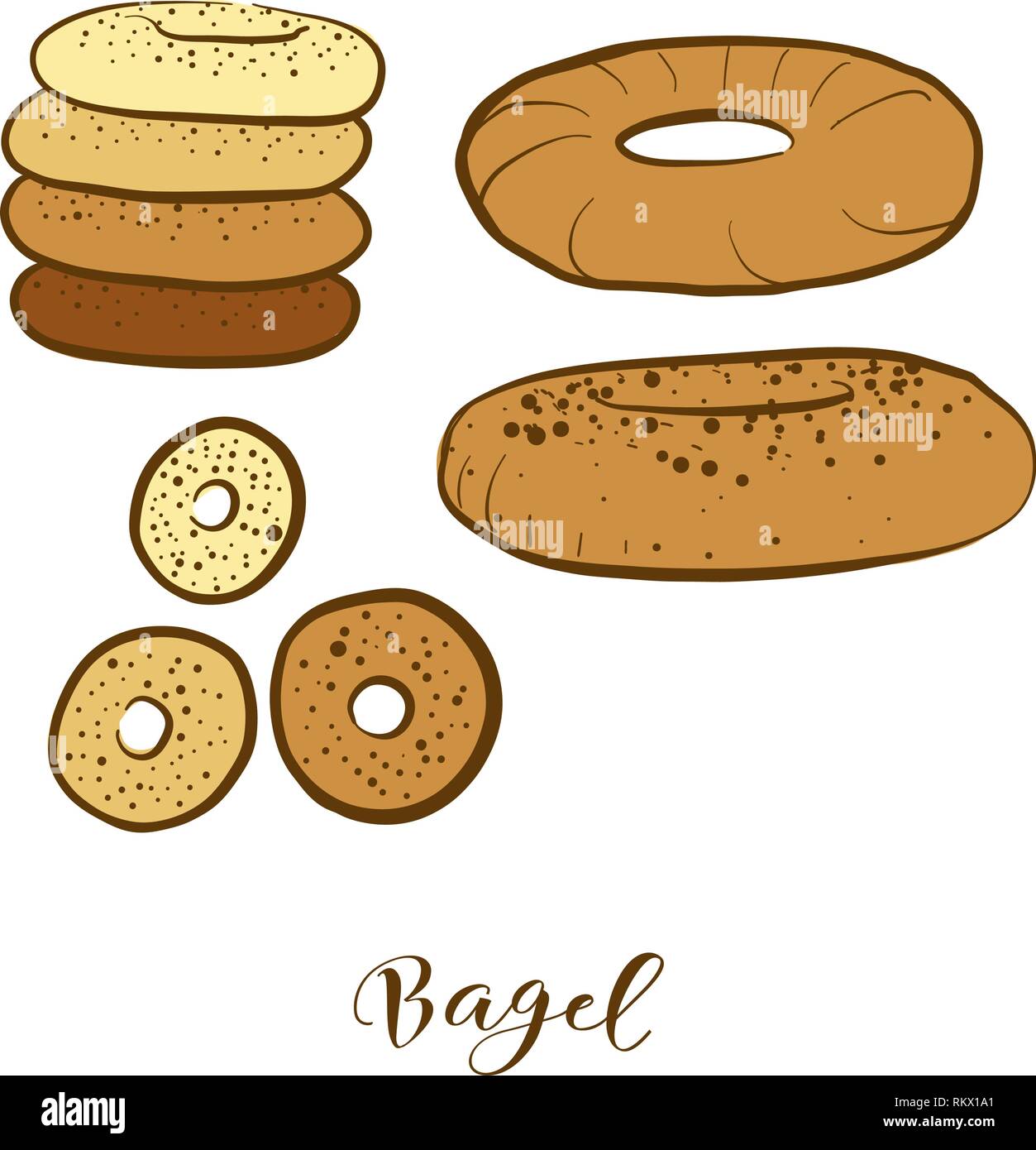 Croquis couleur de pain bagel. Dessin vectoriel de la levure alimentaire pain, habituellement connu en polonais, juifs, Ashkénazes. Illustration du pain de couleur série. Illustration de Vecteur