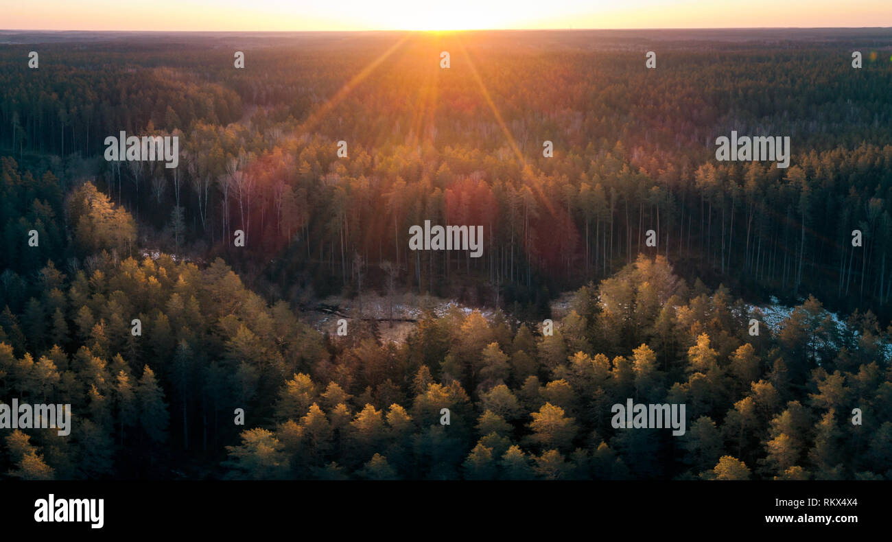 Coucher de soleil dans la forêt, Panorama aérien Banque D'Images