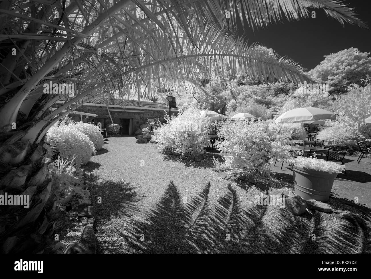 Une image monochrome infrarouge de l'ancienne grange et jardins Restaurant Off-License sur Alderney, Channel Isands. Banque D'Images