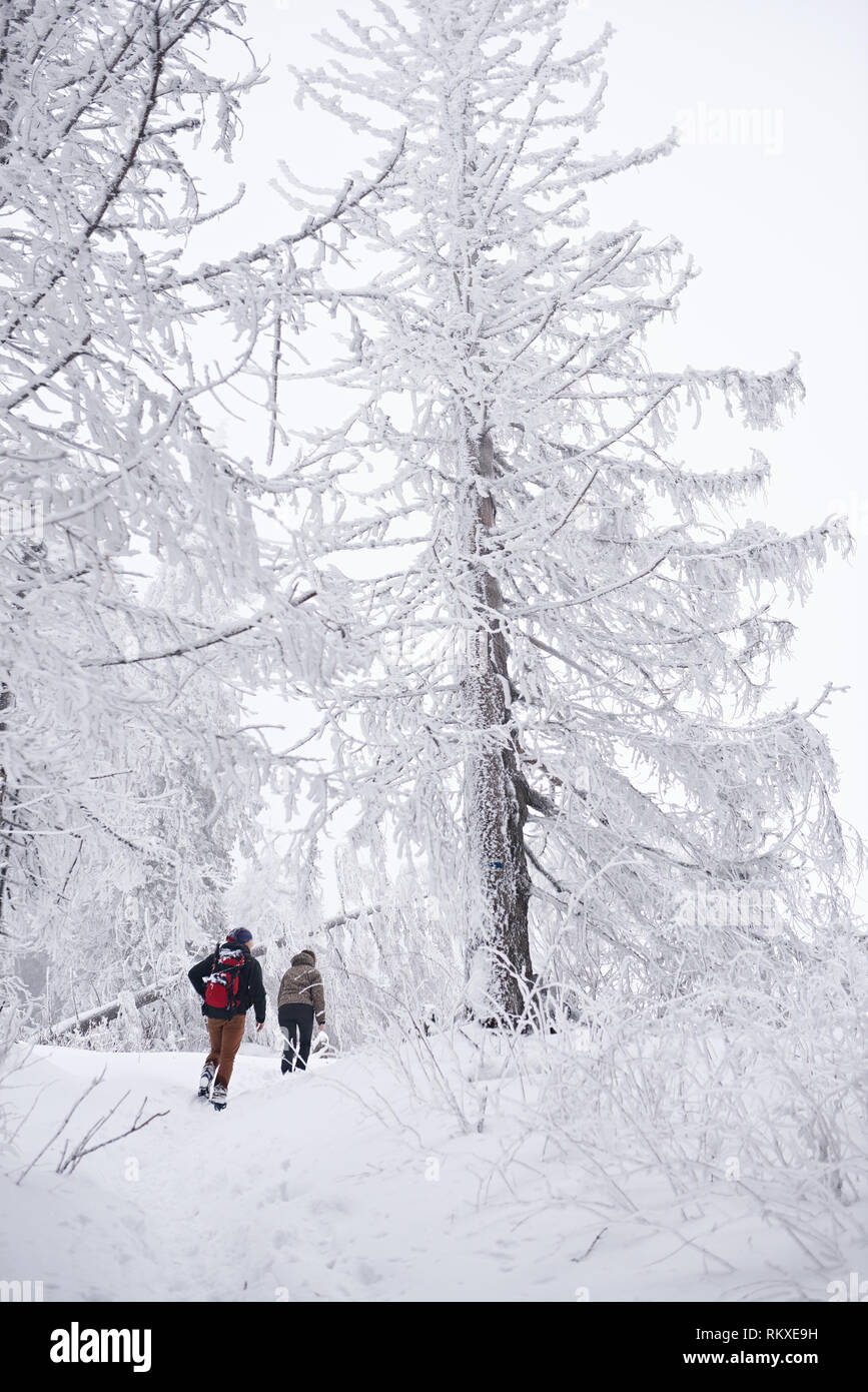 Coquille d'un couple de la randonnée le long d'un chemin à travers une forêt couverte de neige tandis que dehors pour une randonnée d'hiver Banque D'Images