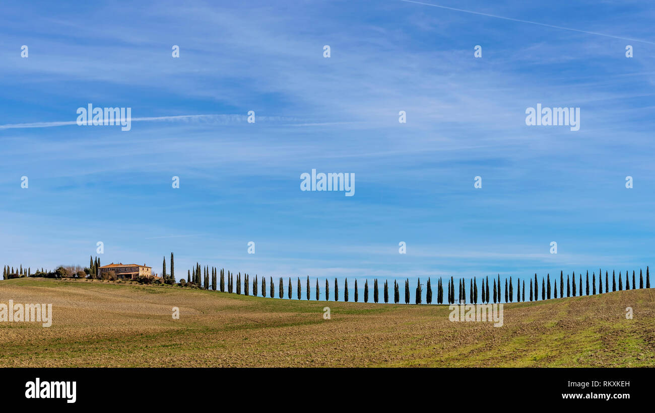 Beau paysage toscan autour de Bagno Vignoni avec une longue rangée de cyprès, Sienne, Italie Banque D'Images