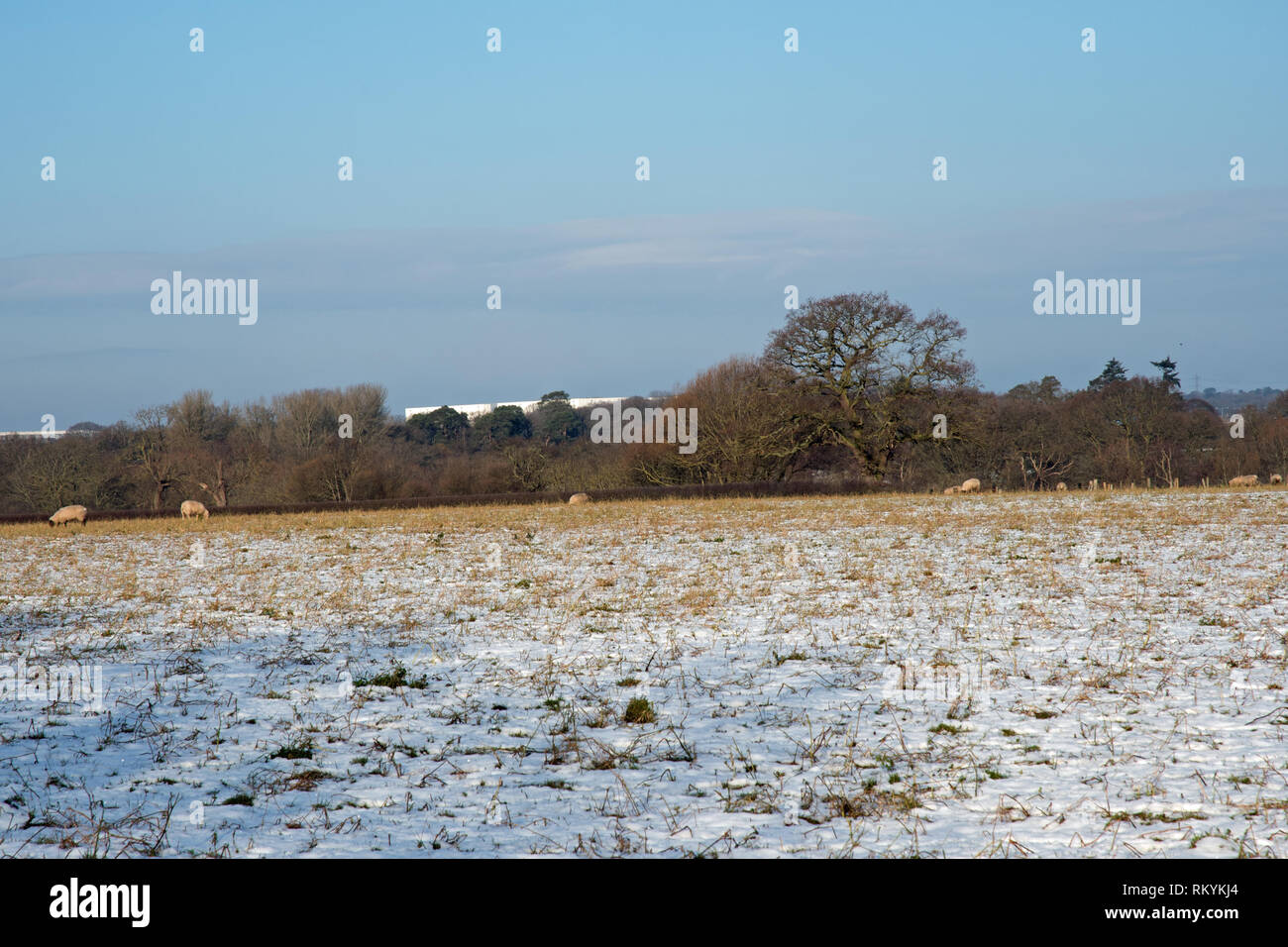 Pinewood Studios à l'arrière-plan de country view dans Buckinghamshire. Banque D'Images