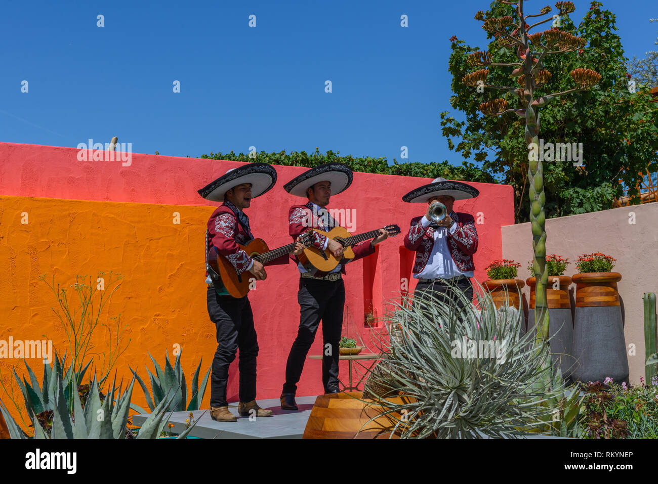 Mariachi Band sur un jardin à la RHS Chelsea Flower Show 2017 Banque D'Images