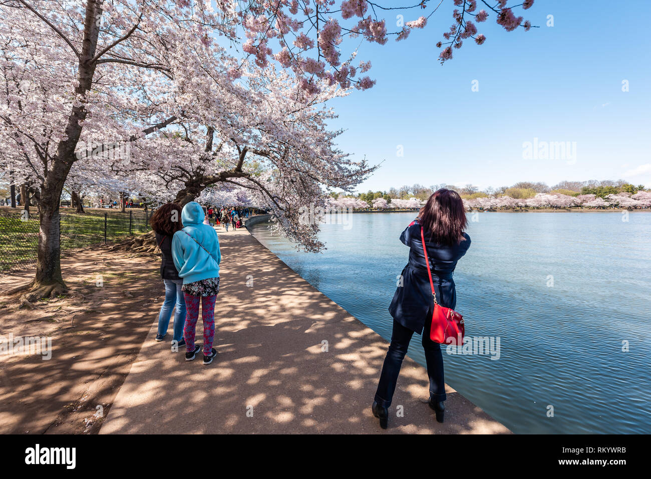 Washington DC, USA - 5 Avril 2018 : les touristes les gens à prendre des photos par Tidal Basin lac étang sakura cherry blossom trees in spring festival à durant Banque D'Images