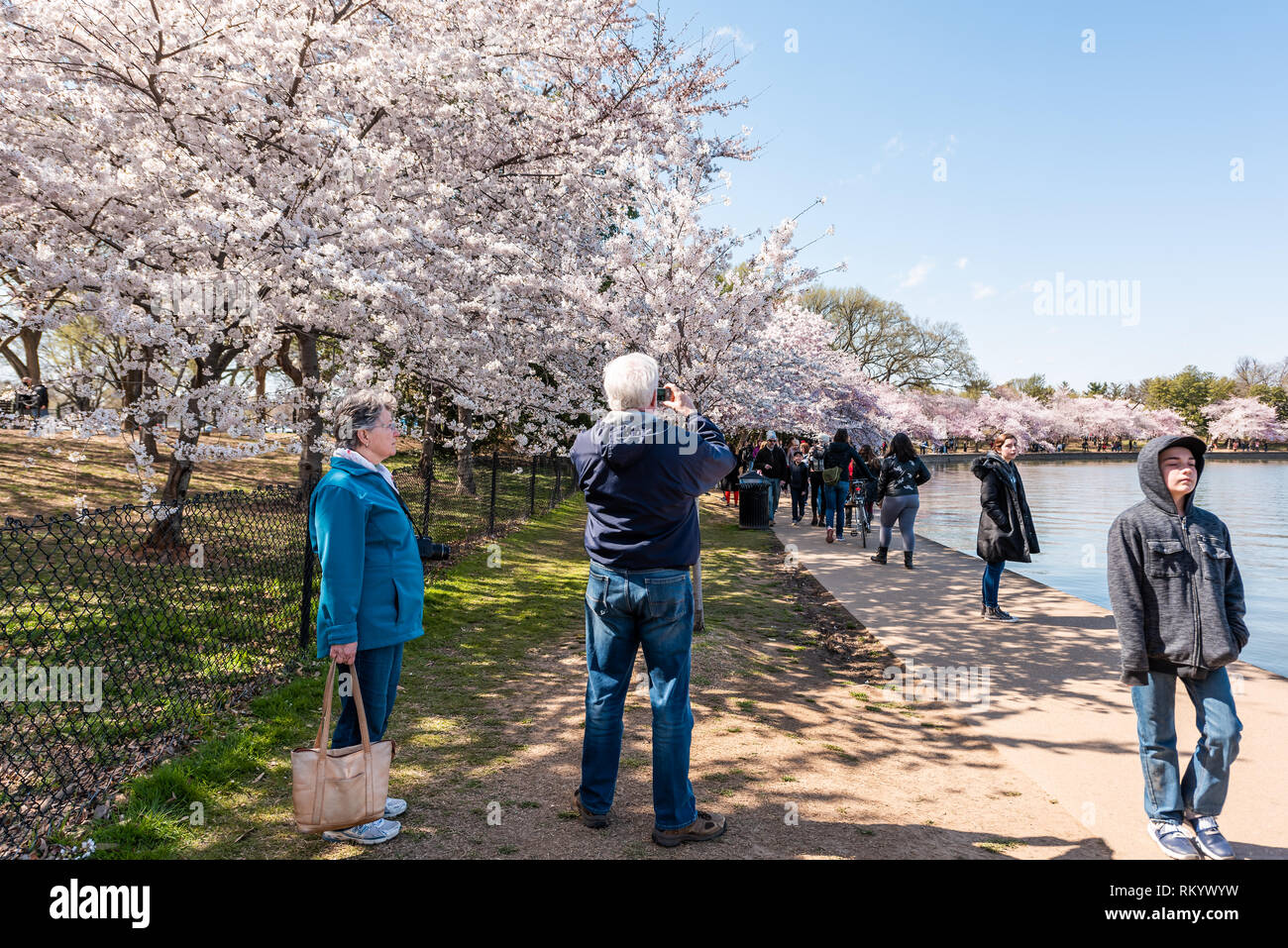 Washington DC, USA - 5 Avril 2018 : les touristes les cadres à prendre des photos par Tidal Basin lac étang sakura cherry blossom trees in spring pendant festi Banque D'Images